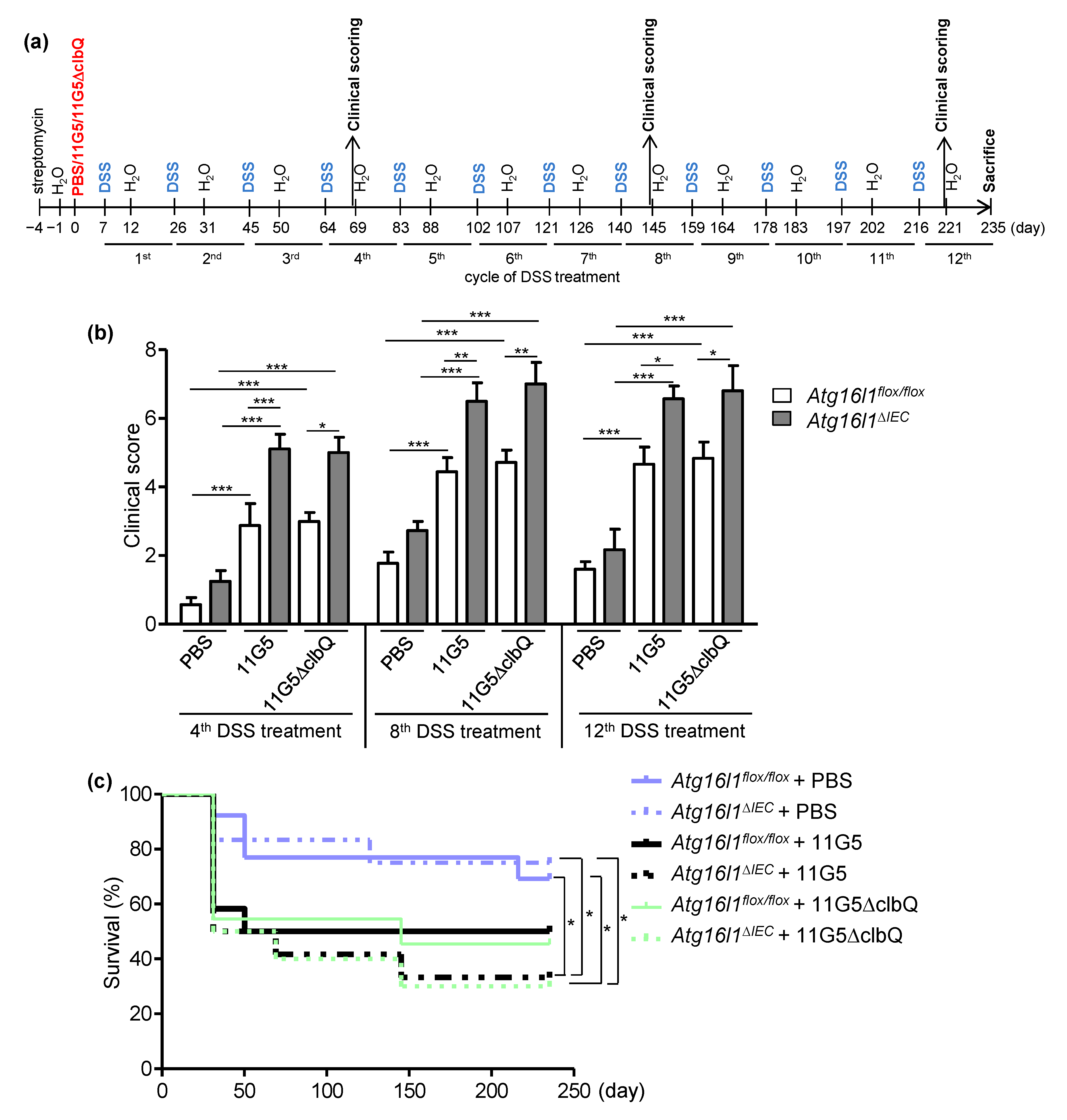 Cancers 13 02060 g001