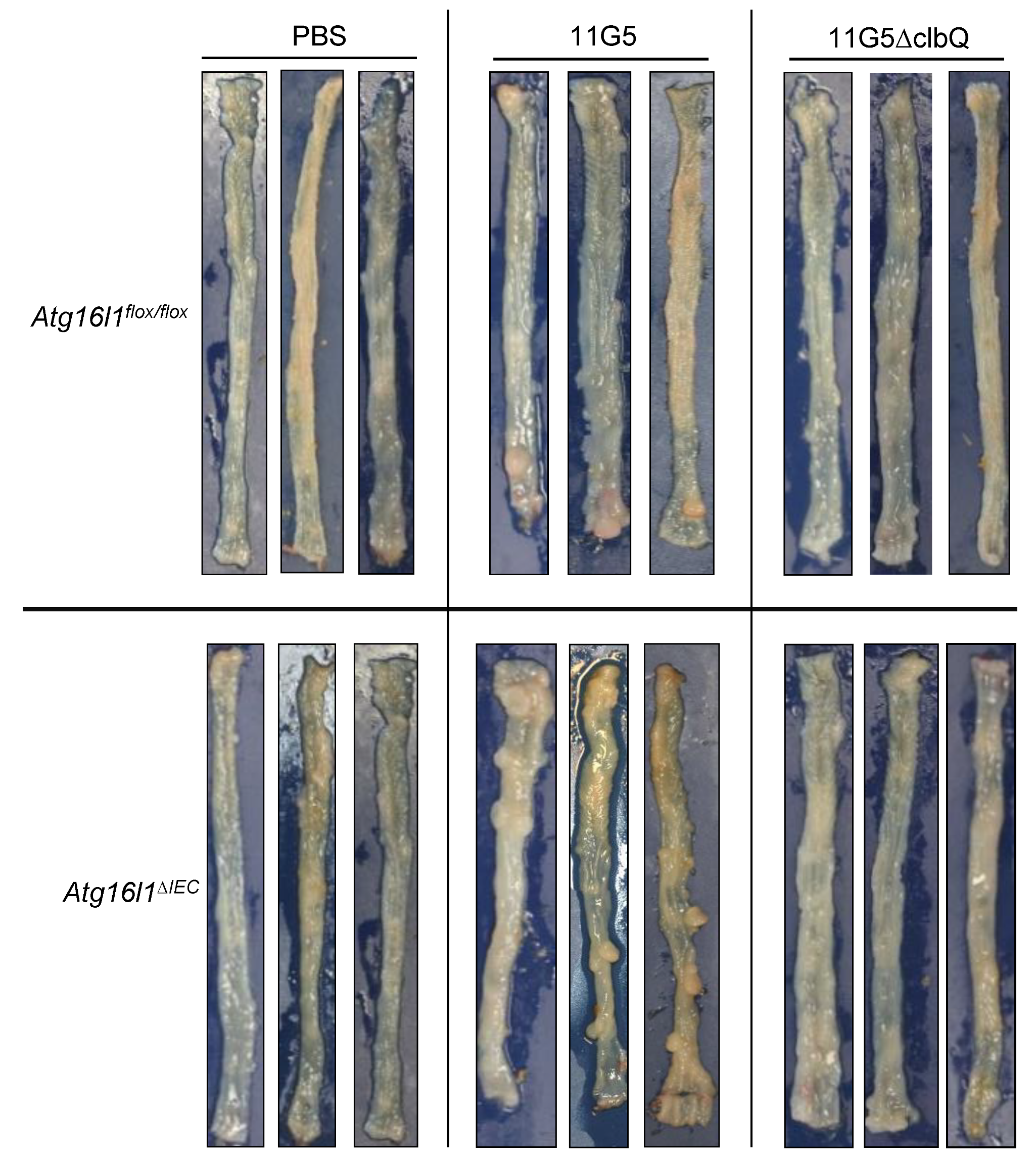 Cancers 13 02060 g002