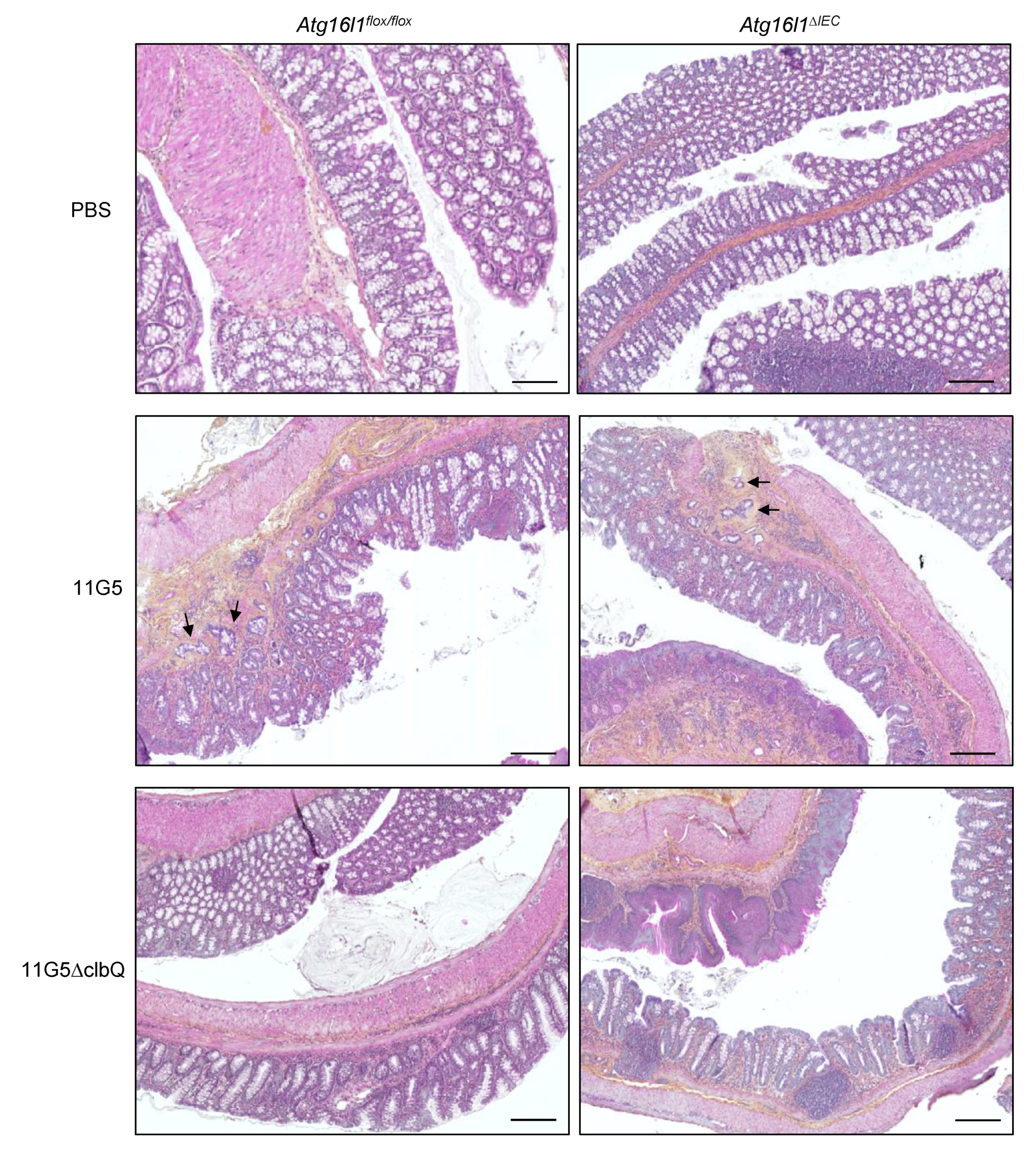 Cancers 13 02060 g003