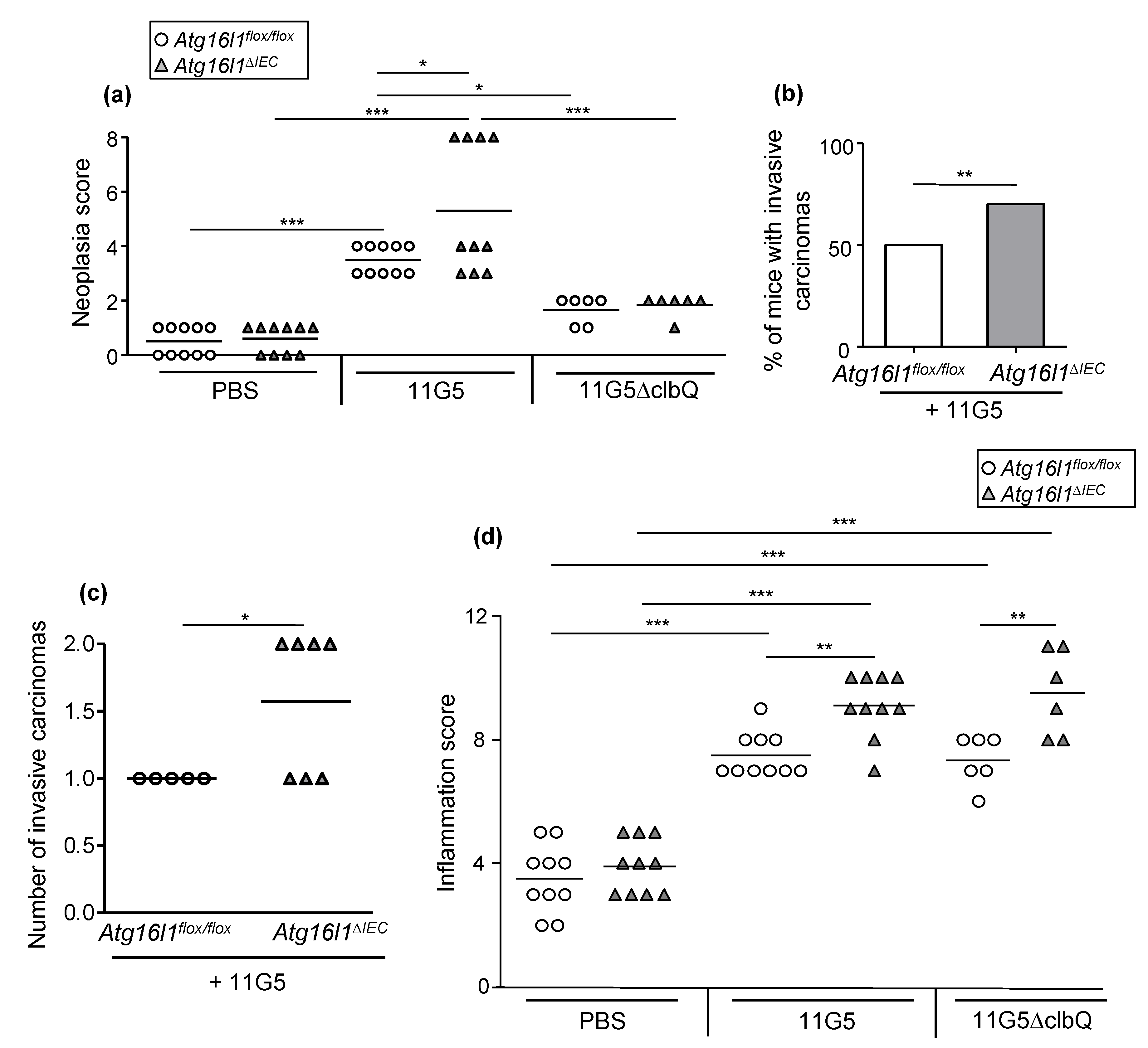 Cancers 13 02060 g004