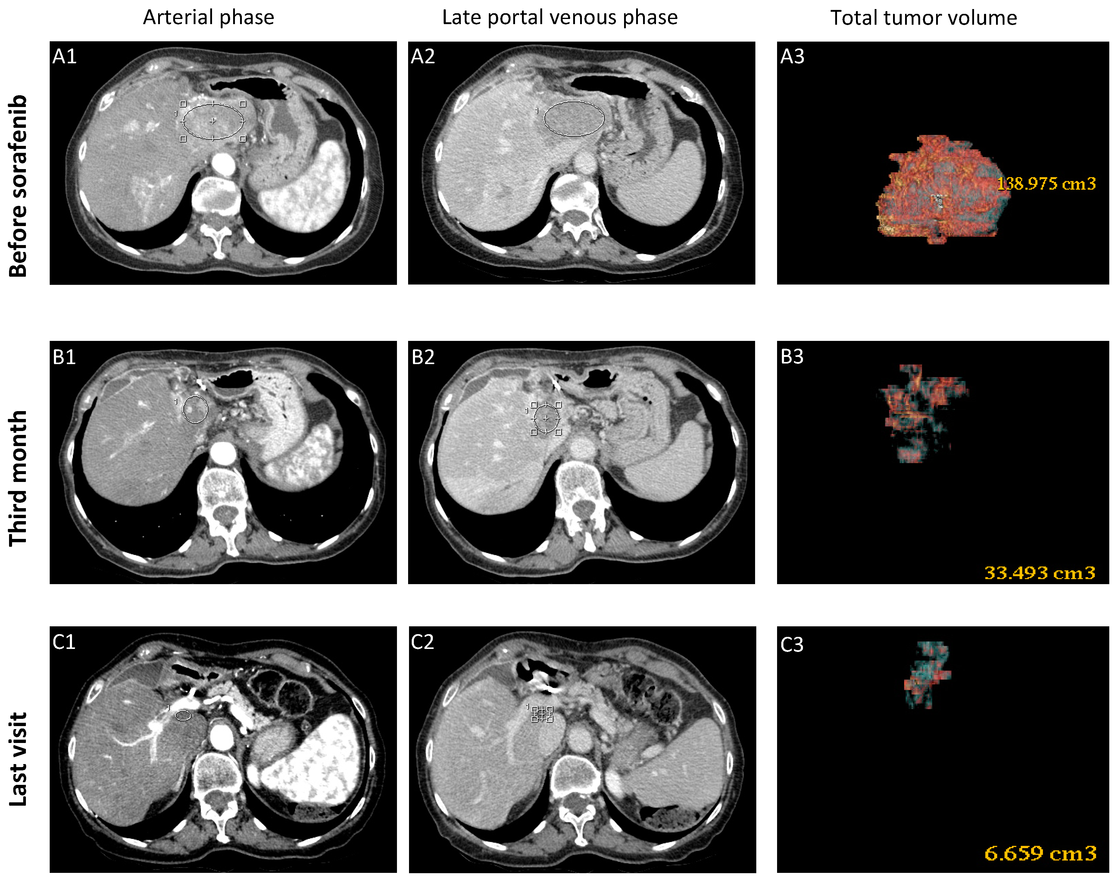 Cancers 13 02064 g001 Cancers 13 02064 g001