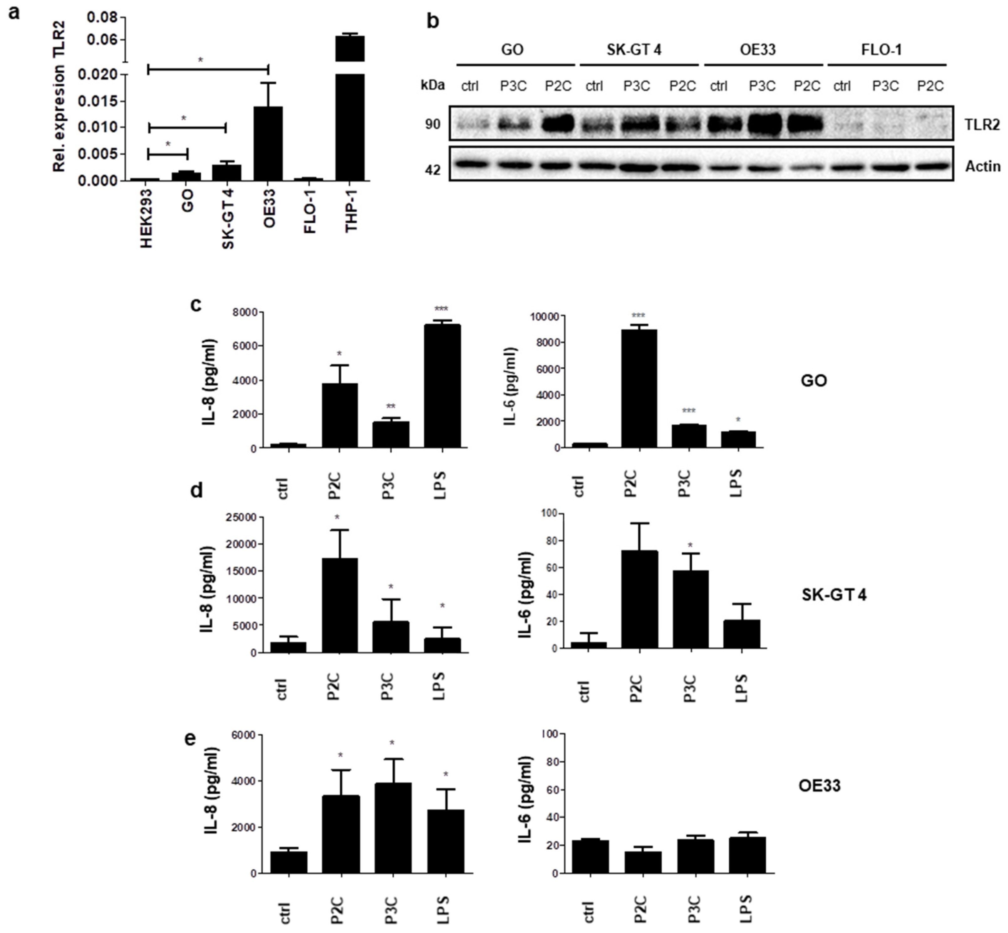 Cancers 13 02065 g001 Cancers 13 02065 g001