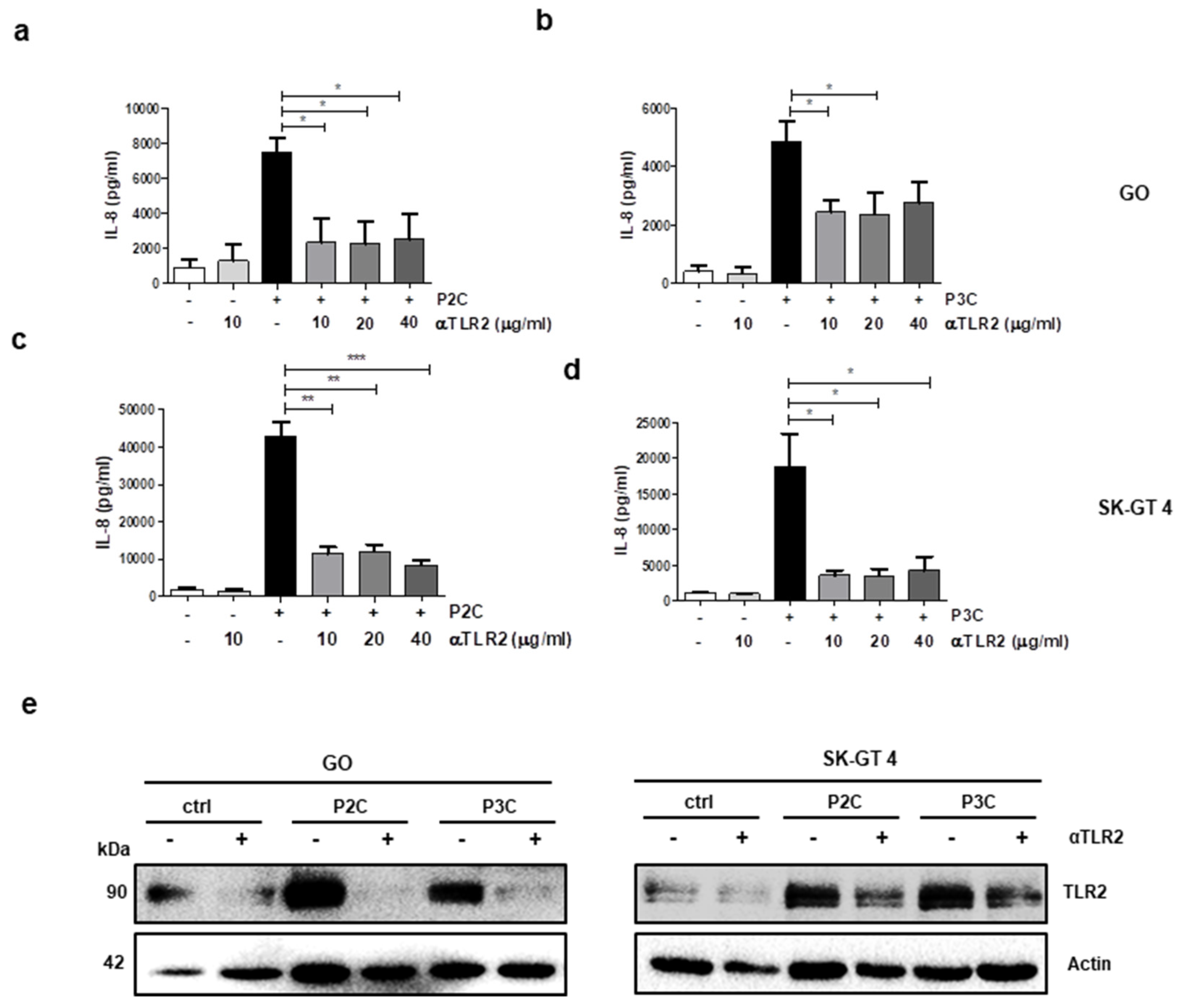 Cancers 13 02065 g002 Cancers 13 02065 g002