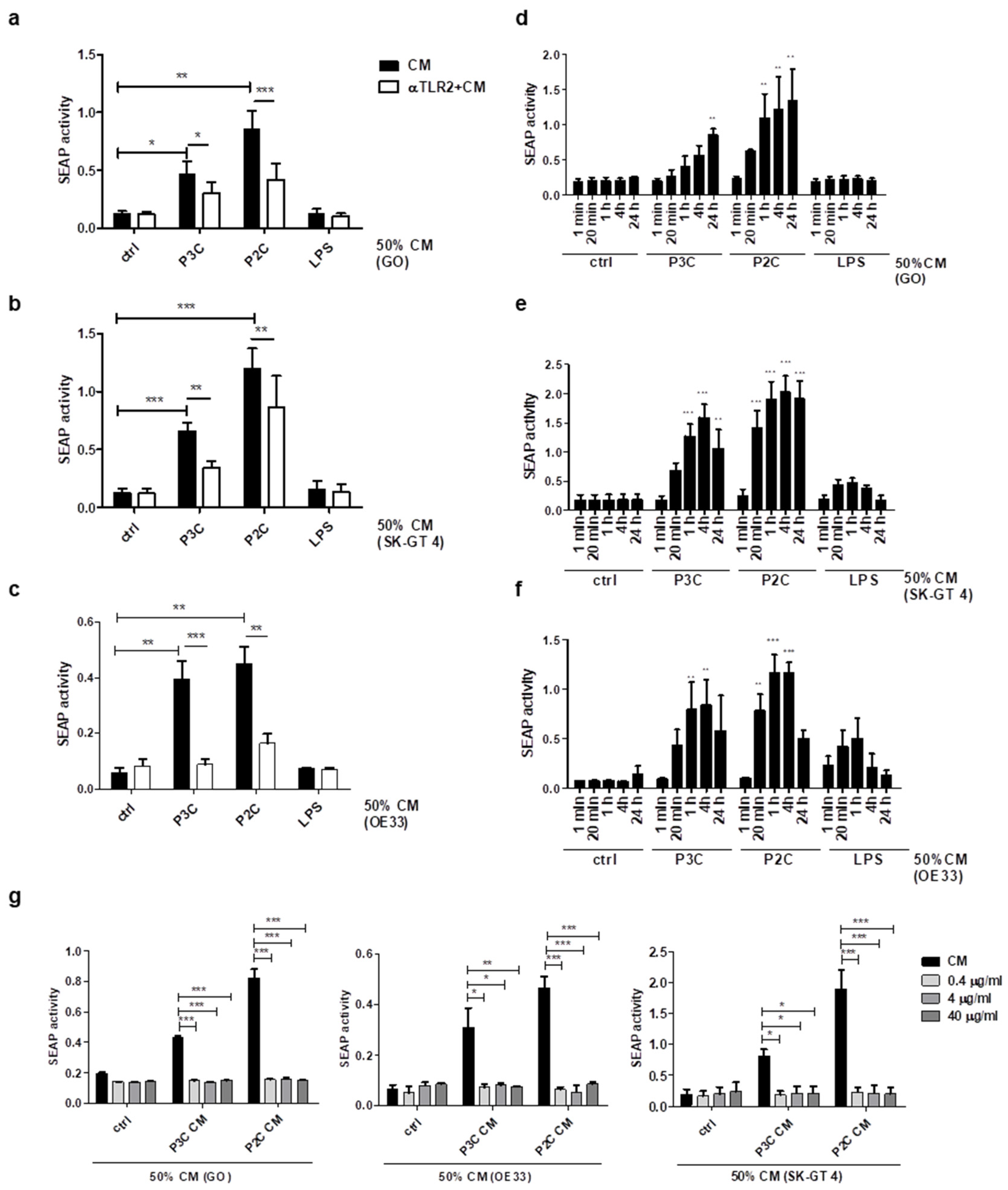 Cancers 13 02065 g004 Cancers 13 02065 g004