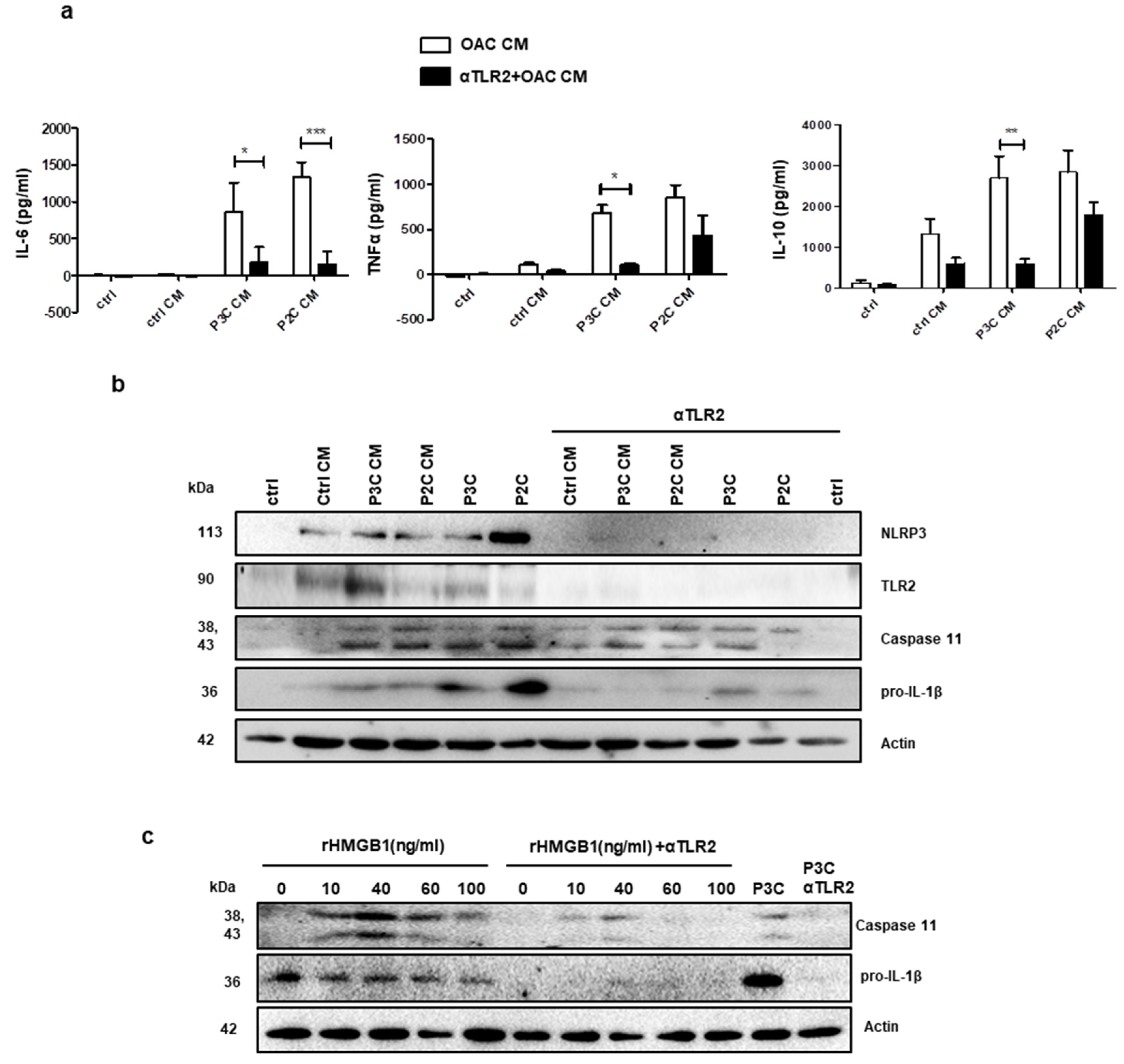 Cancers 13 02065 g006 Cancers 13 02065 g006