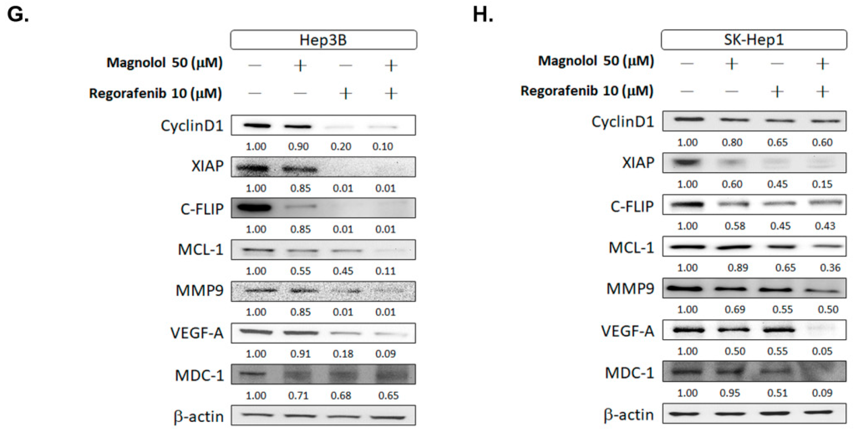 Cancers 13 02066 g001b Cancers 13 02066 g001b