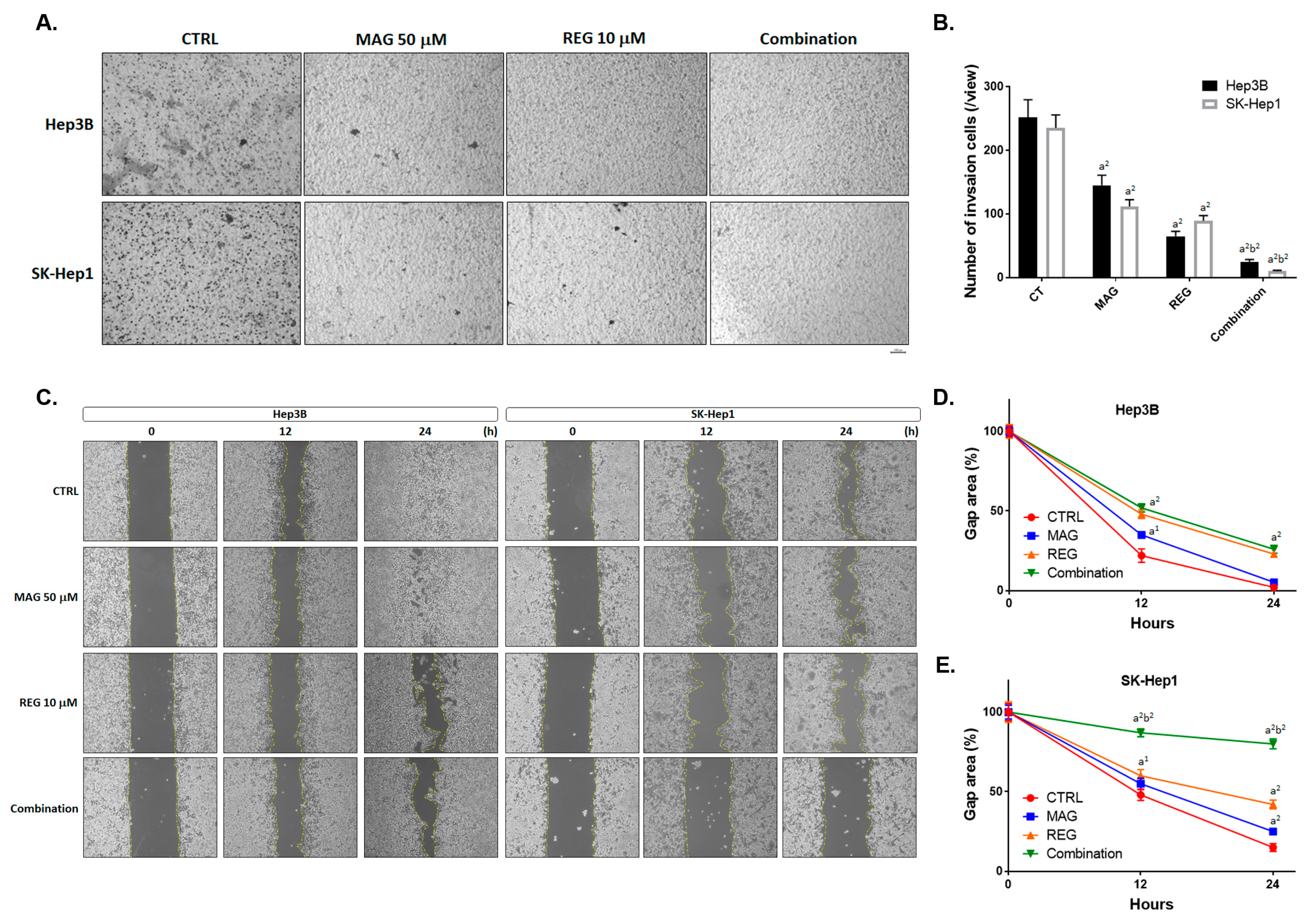 Cancers 13 02066 g003 Cancers 13 02066 g003