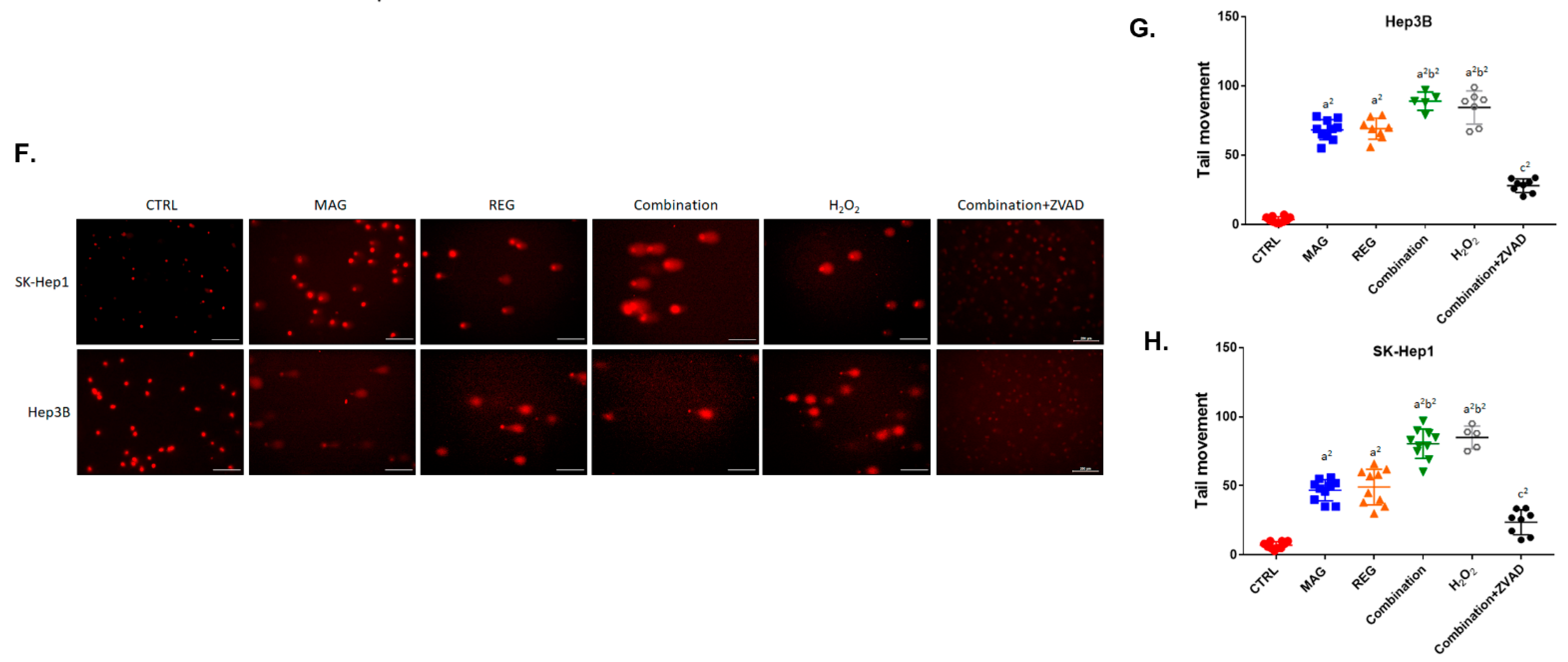 Cancers 13 02066 g004b Cancers 13 02066 g004b