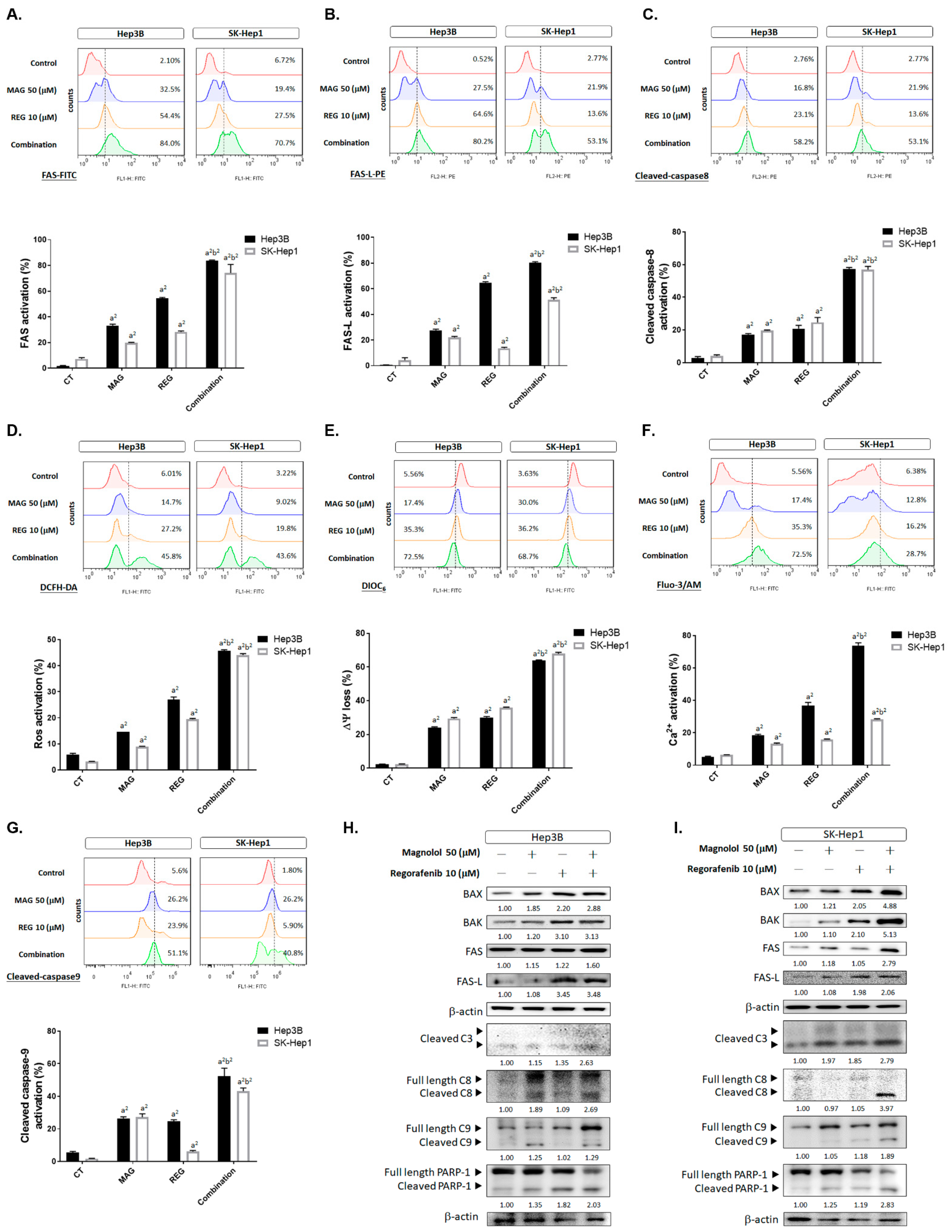 Cancers 13 02066 g005a Cancers 13 02066 g005a