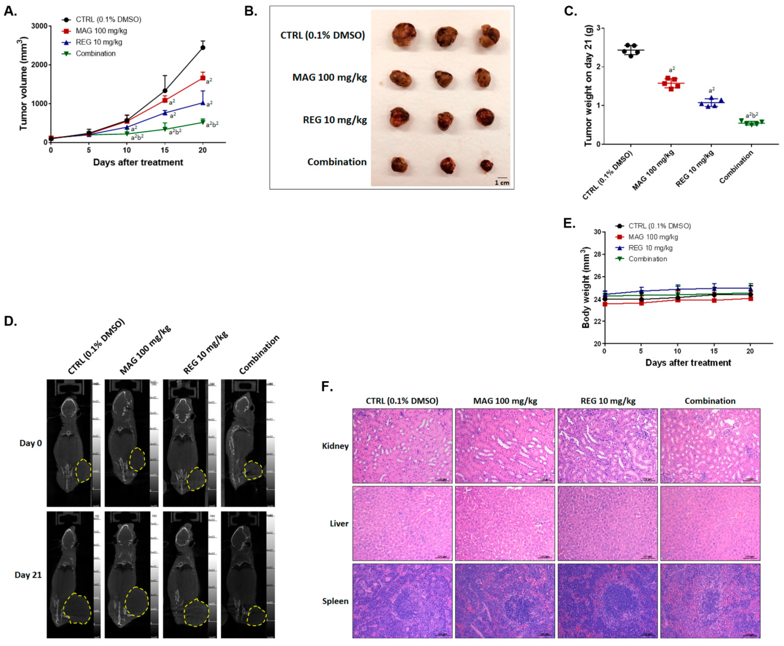 Cancers 13 02066 g006a Cancers 13 02066 g006a