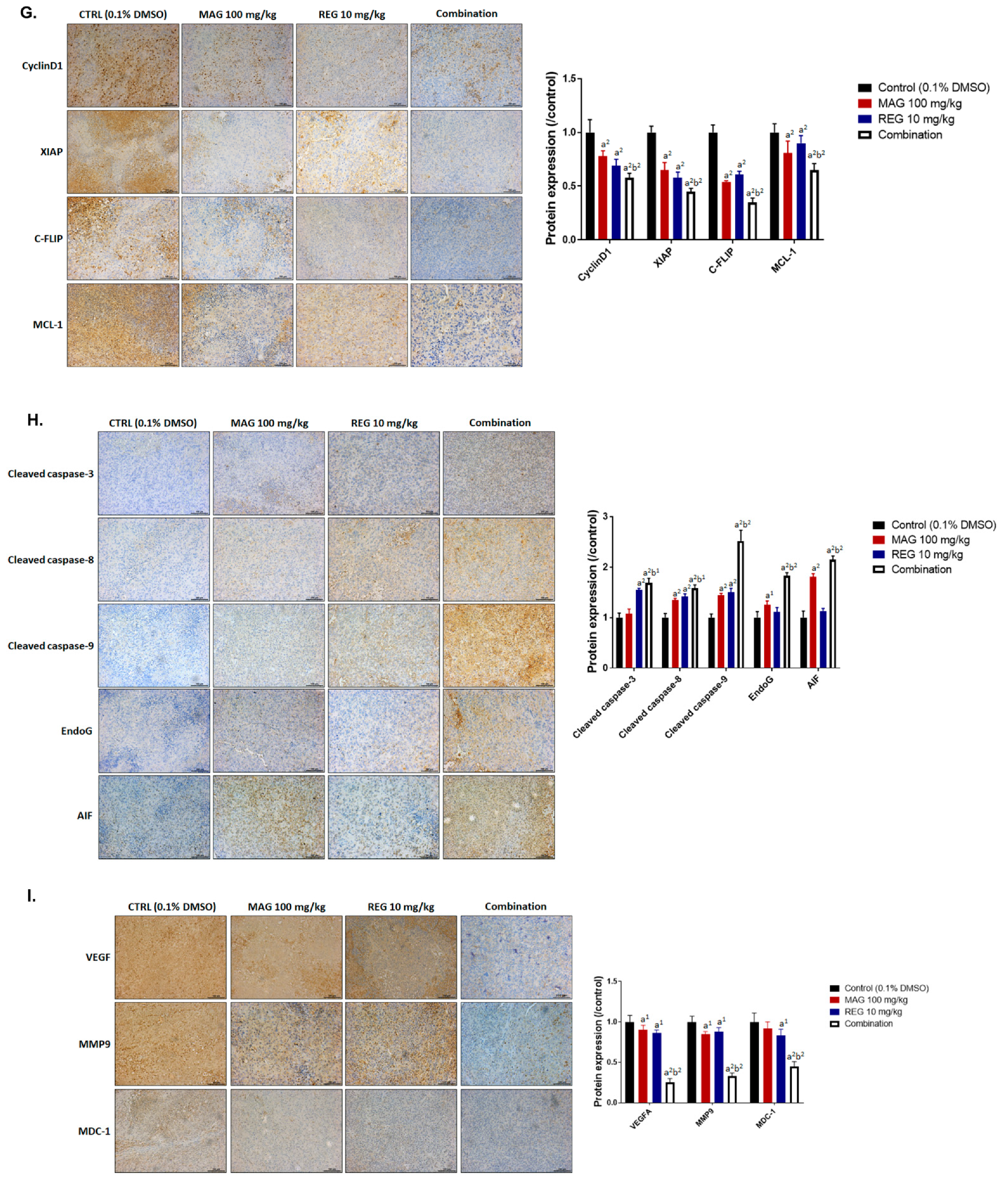 Cancers 13 02066 g006b Cancers 13 02066 g006b