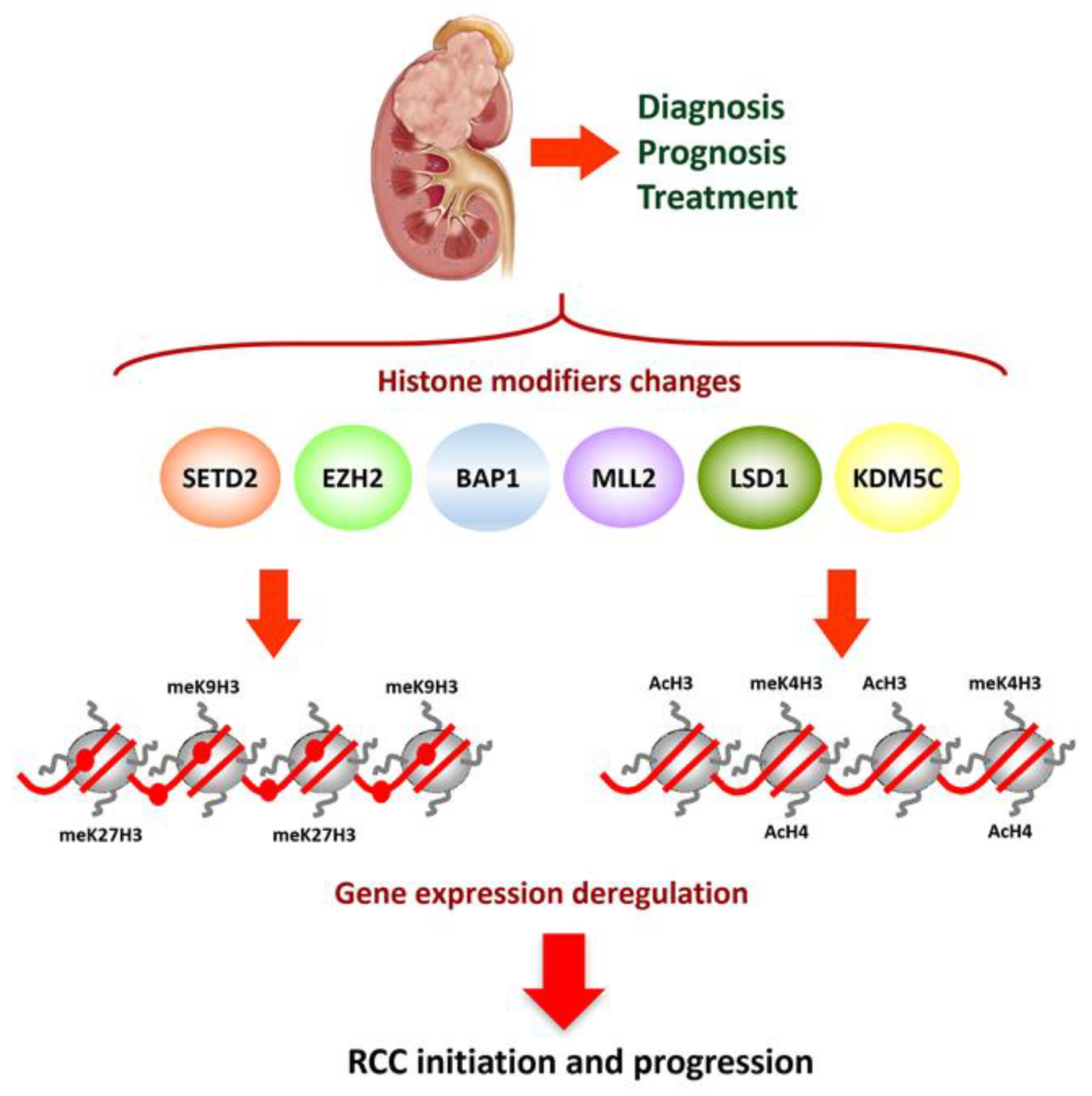 Cancers 13 02071 g001 Cancers 13 02071 g001