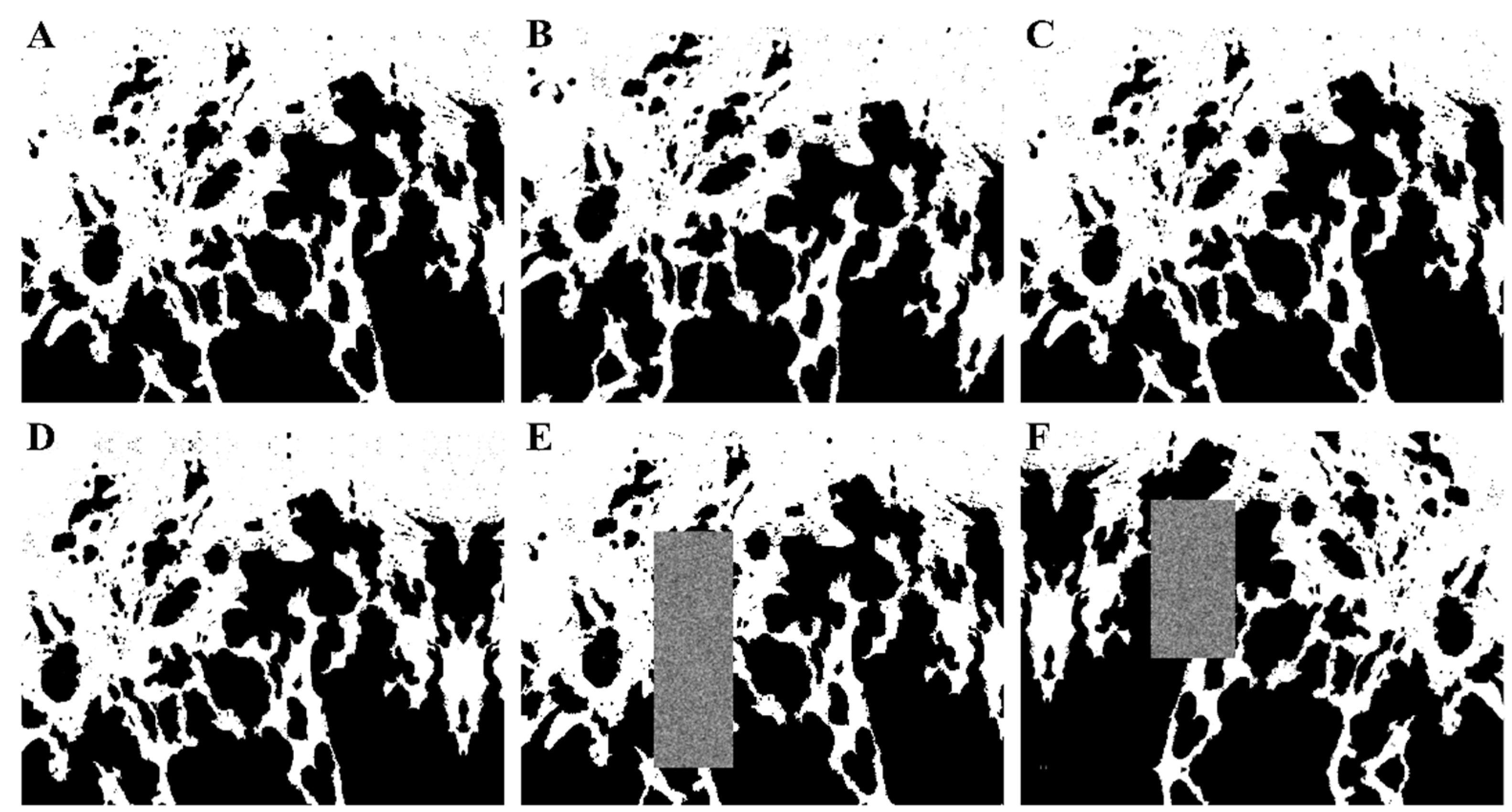 Cancers 13 02074 g002