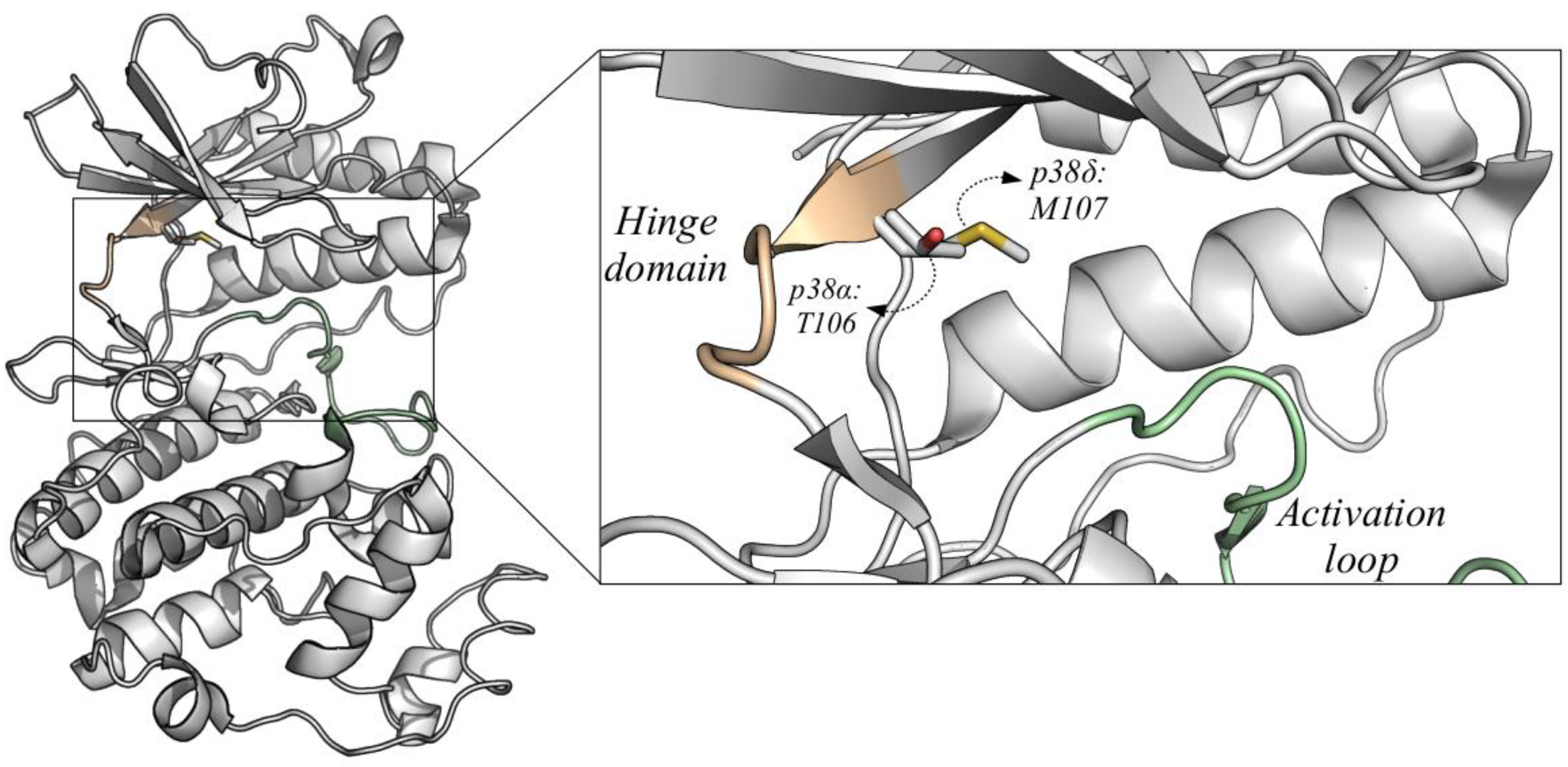 Cancers 13 02077 g003 Cancers 13 02077 g003