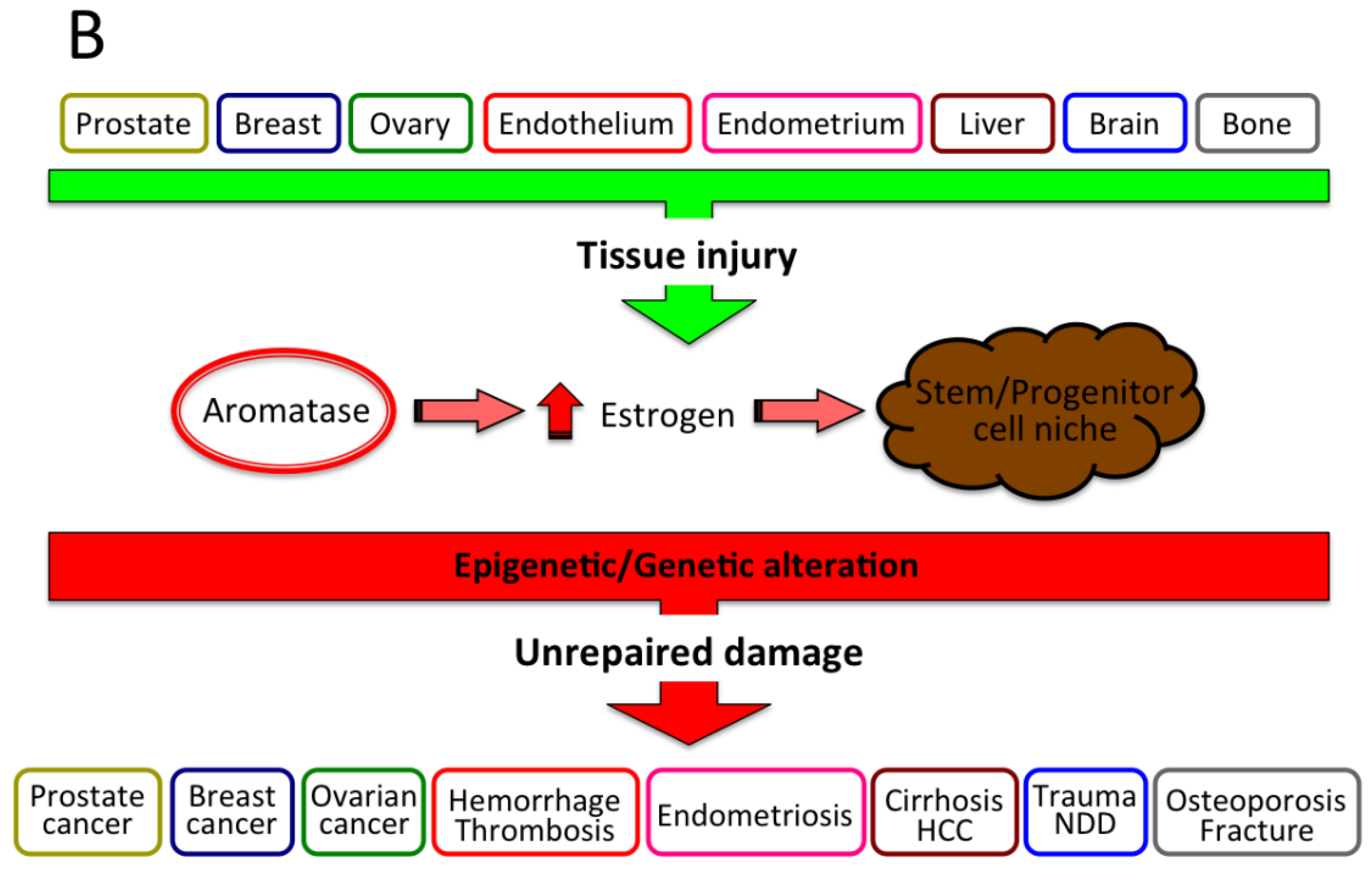 Cancers 13 02085 g009b Cancers 13 02085 g009b