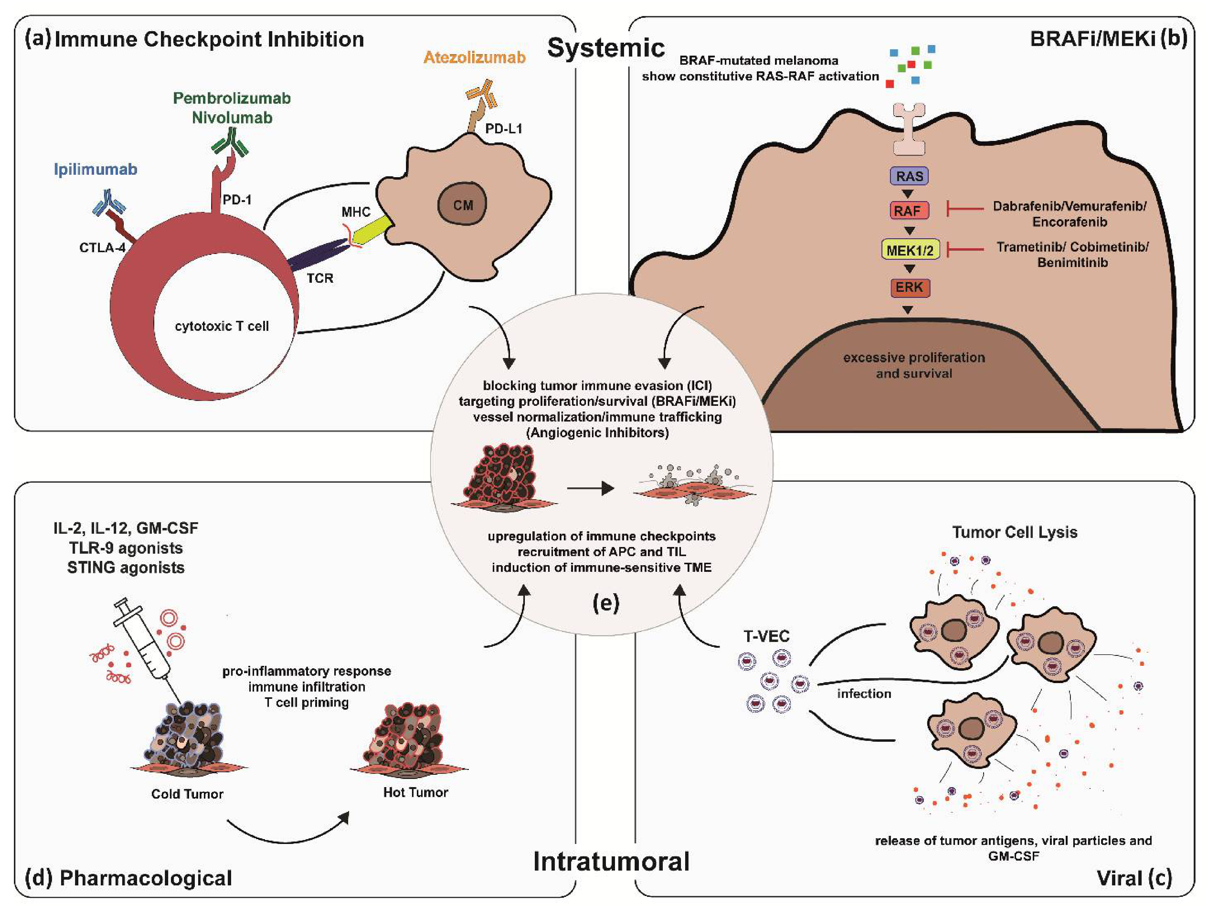 Cancers 13 02090 g001 Cancers 13 02090 g001