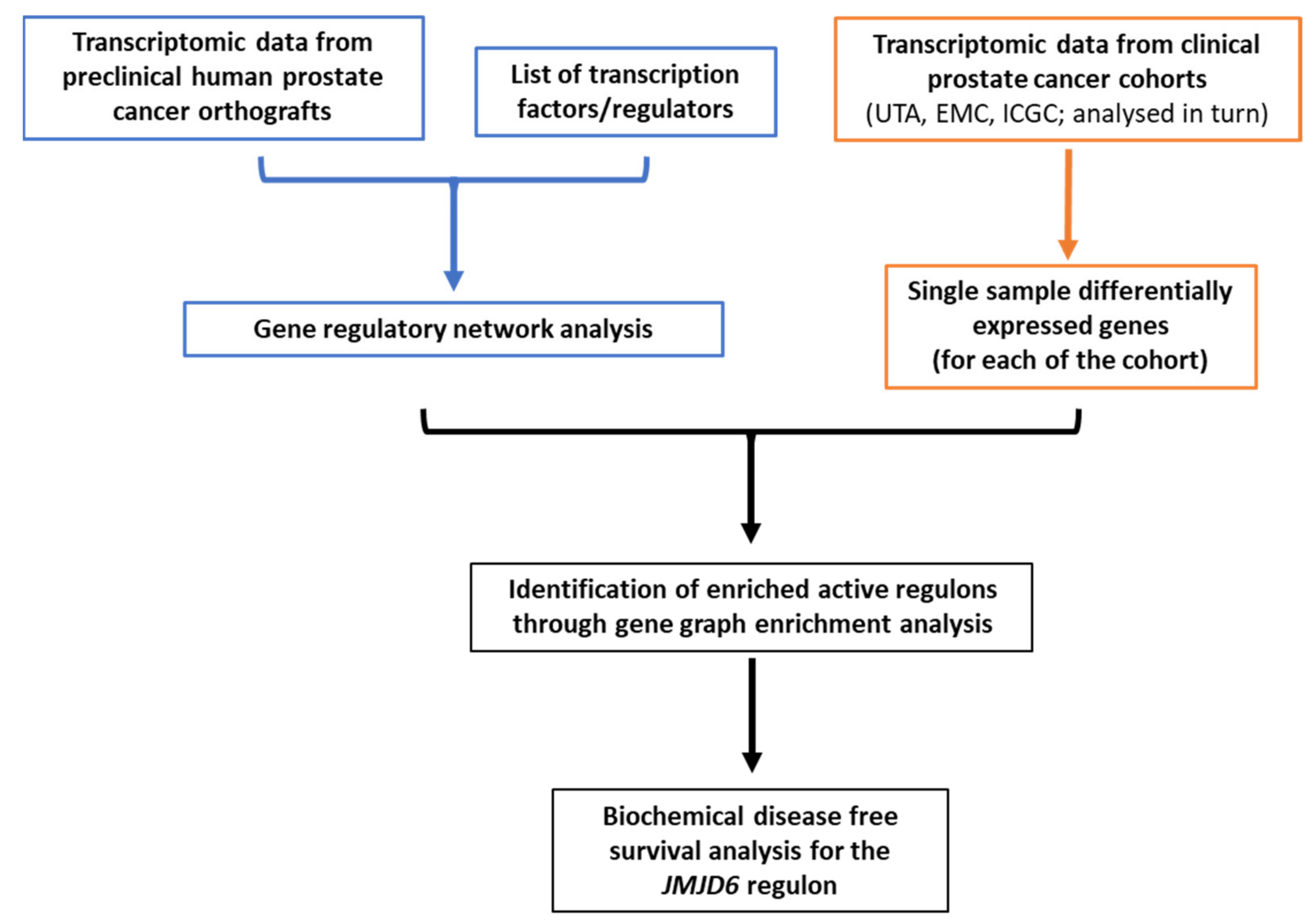 Cancers 13 02094 g001 Cancers 13 02094 g001