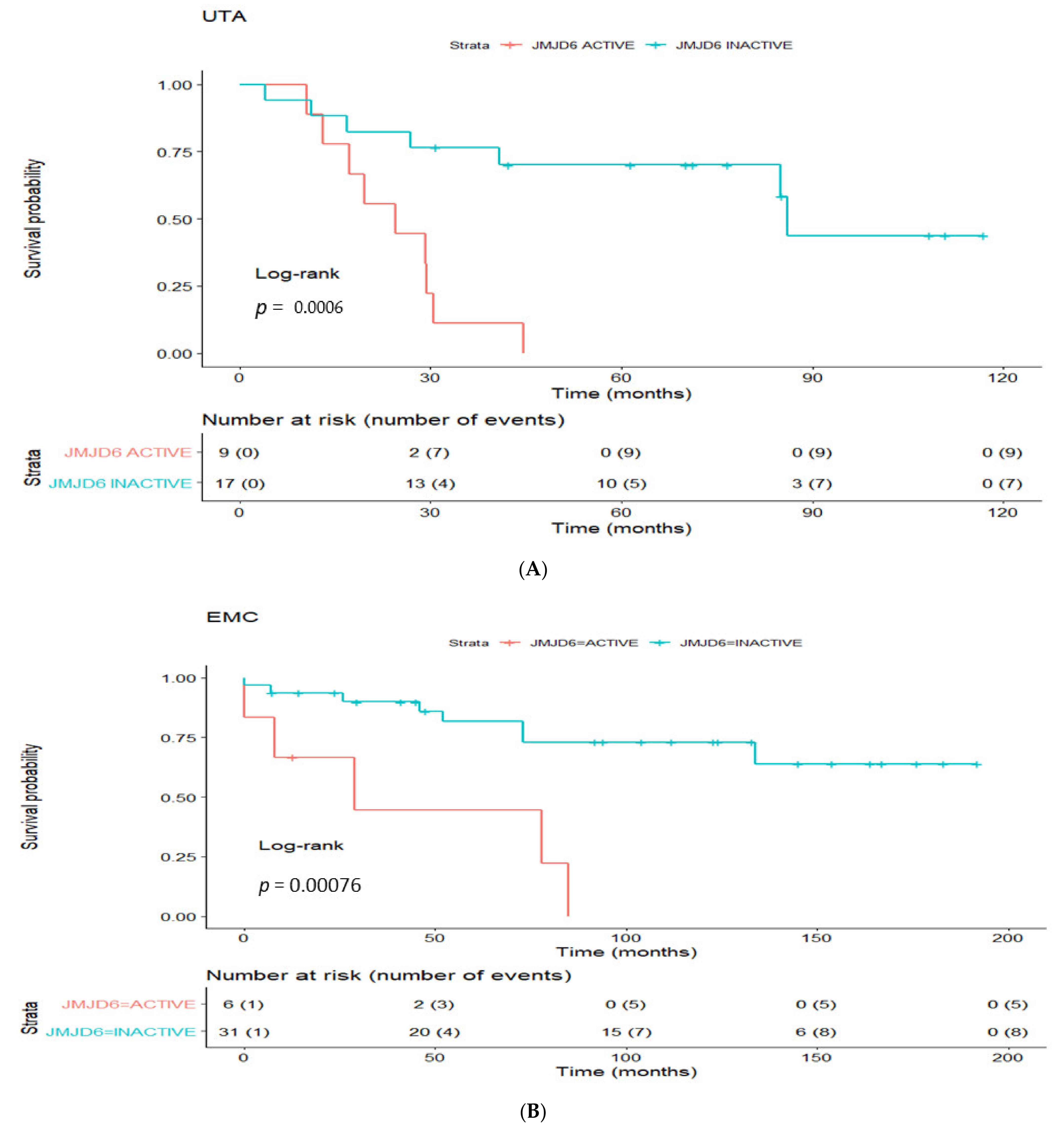 Cancers 13 02094 g003a Cancers 13 02094 g003a