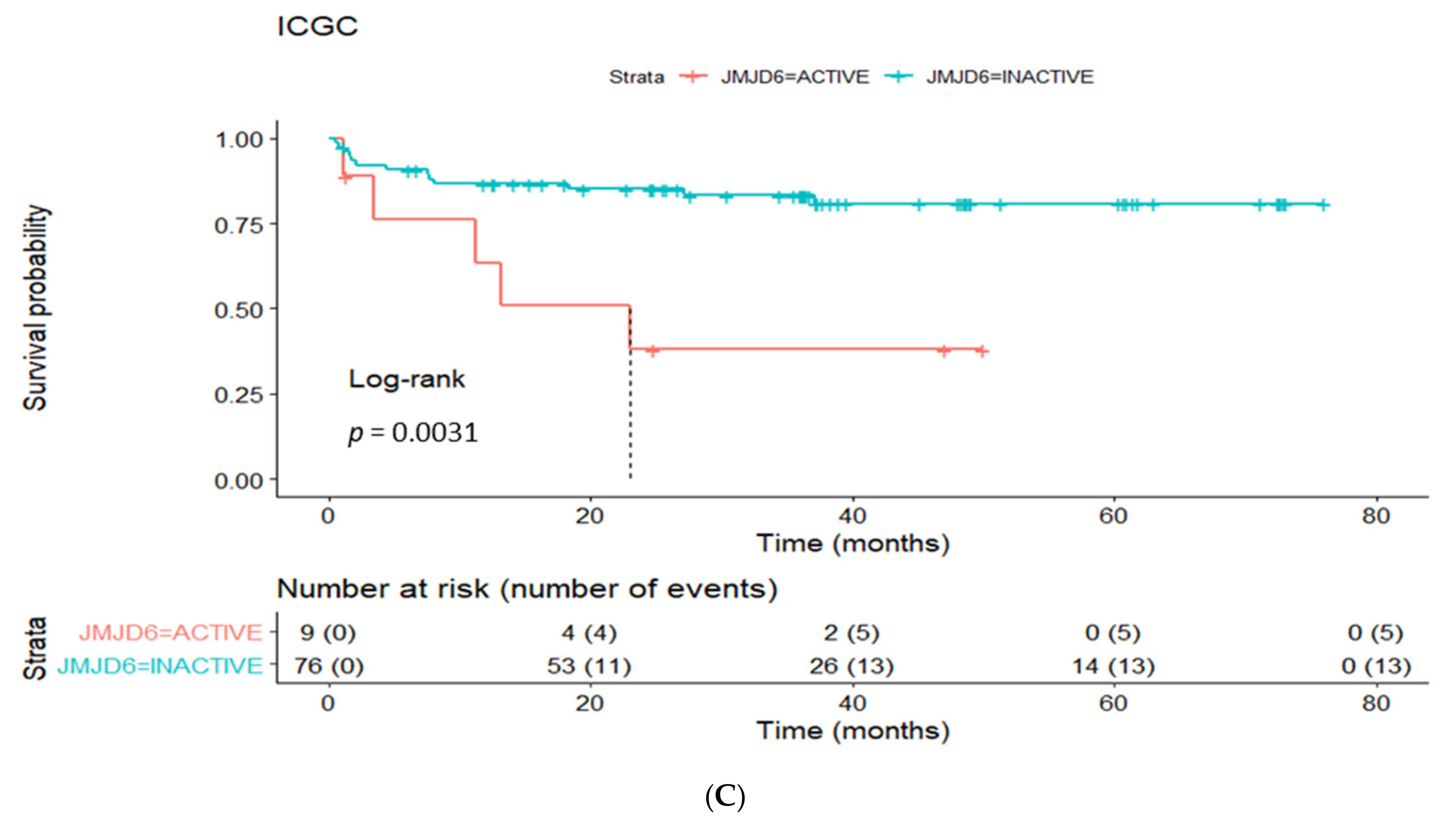 Cancers 13 02094 g003b Cancers 13 02094 g003b