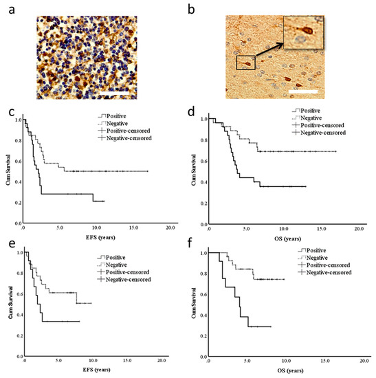 cancers-13-02100-g001-550.jpg