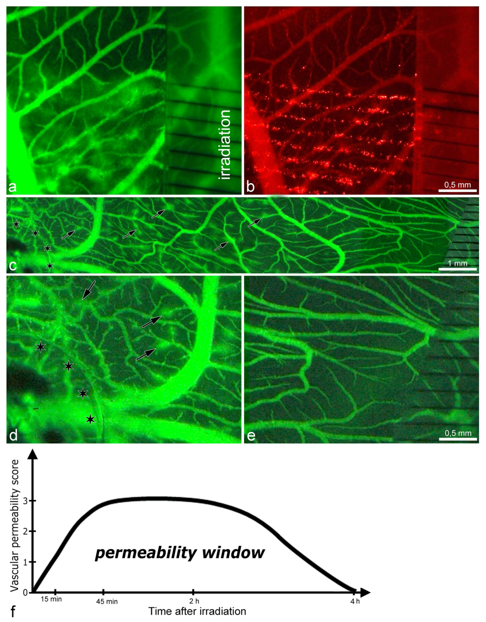 Cancers 13 02103 g001