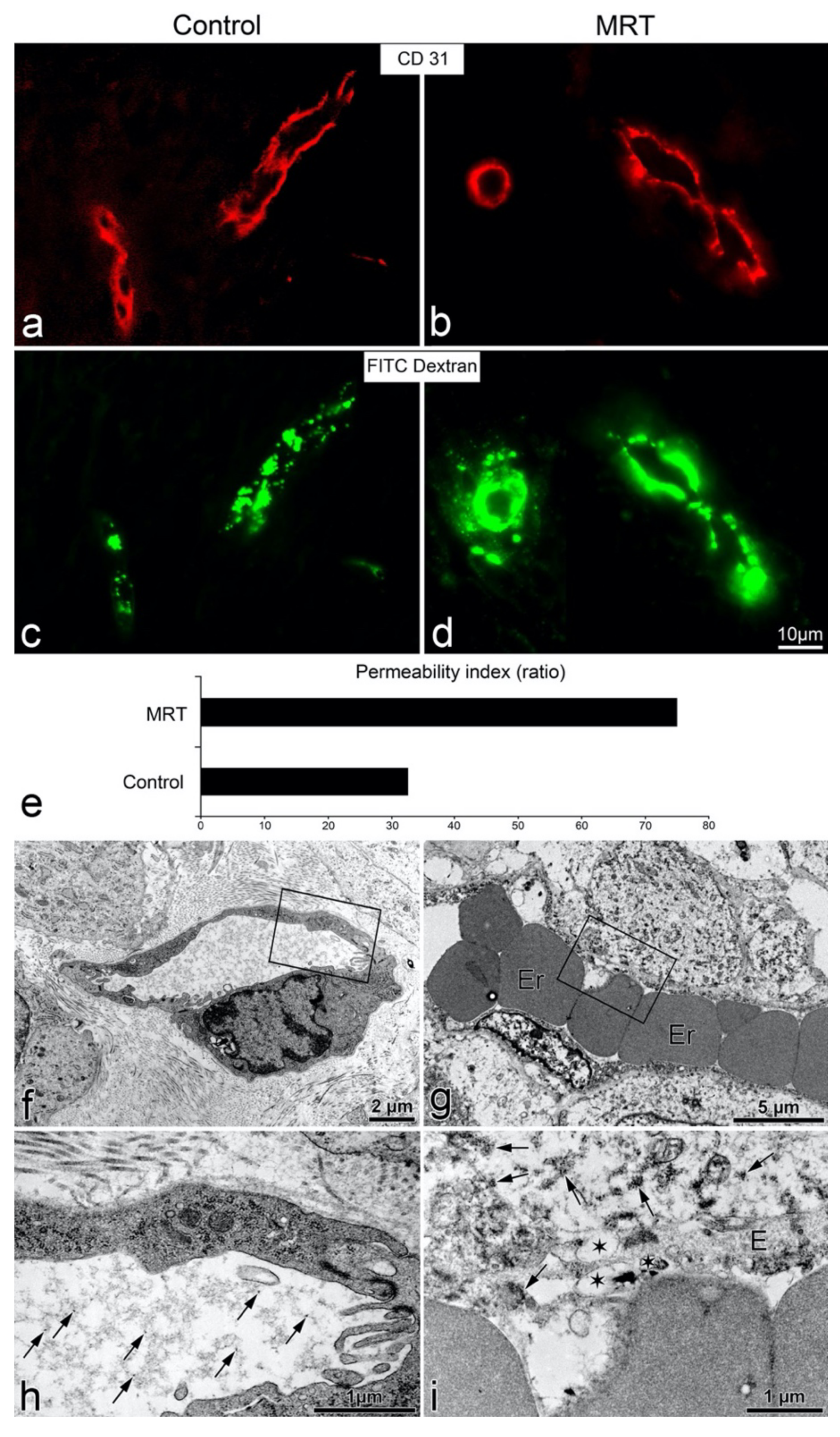 Cancers 13 02103 g003