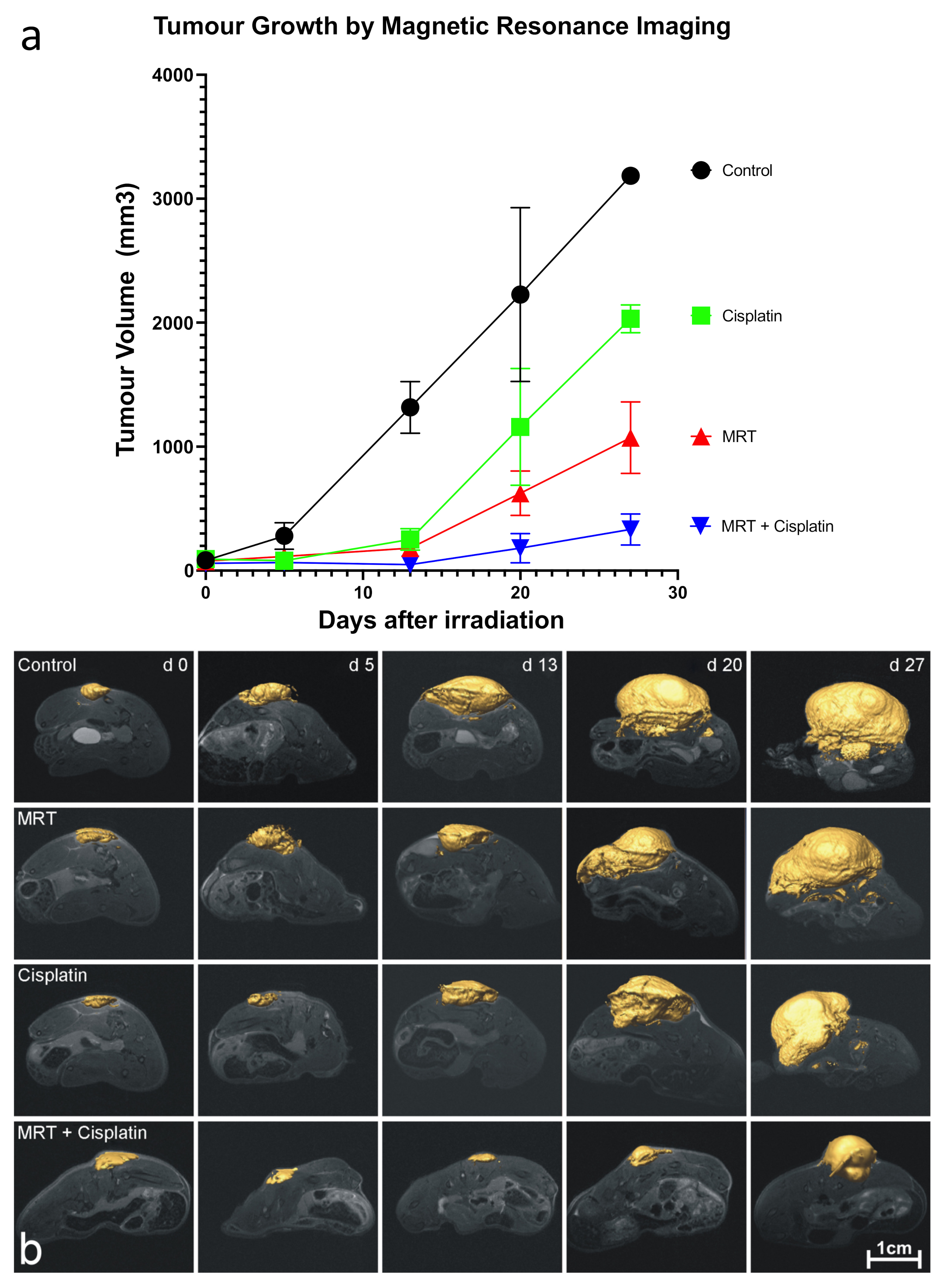Cancers 13 02103 g005