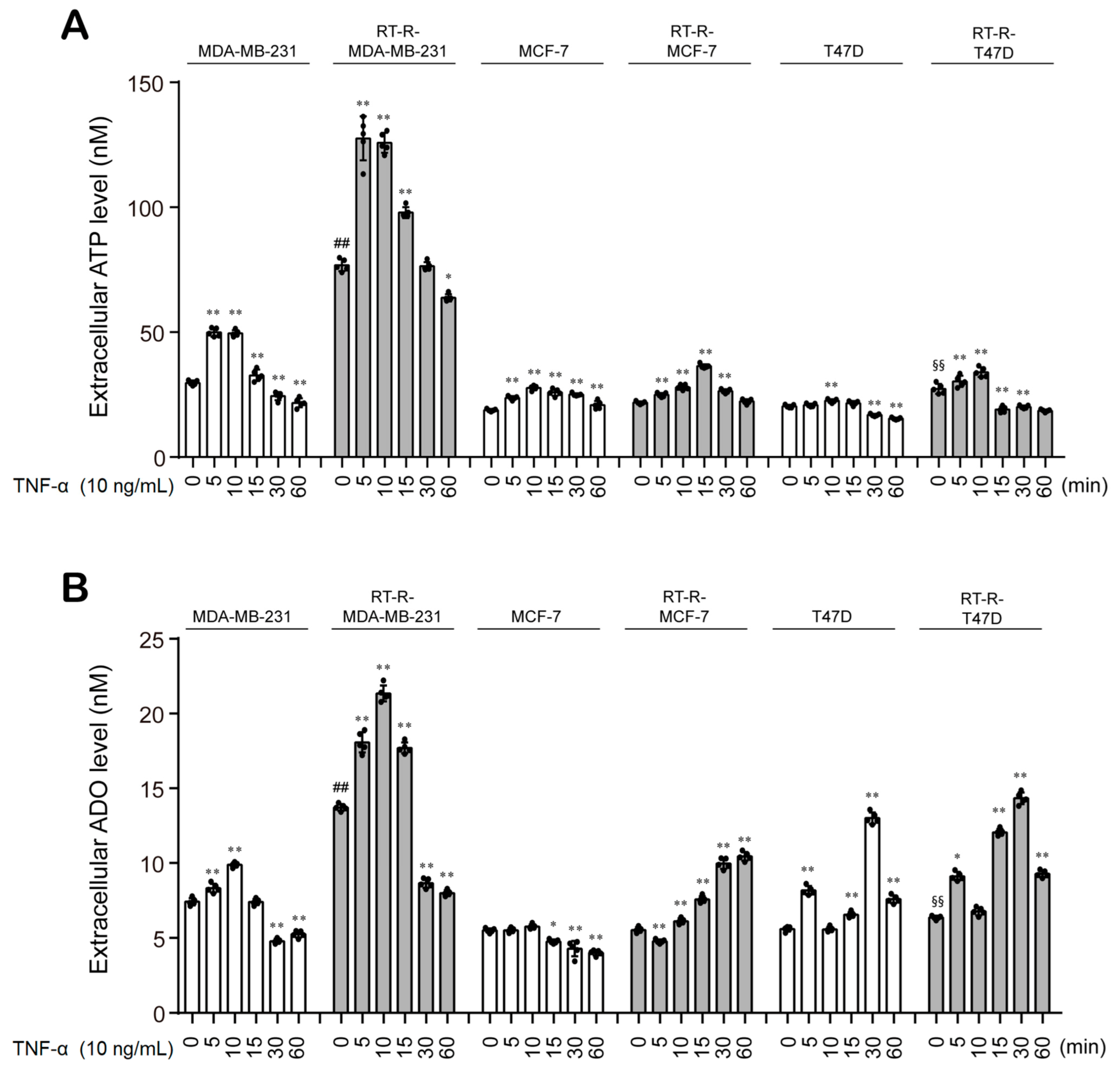 Cancers 13 02105 g002
