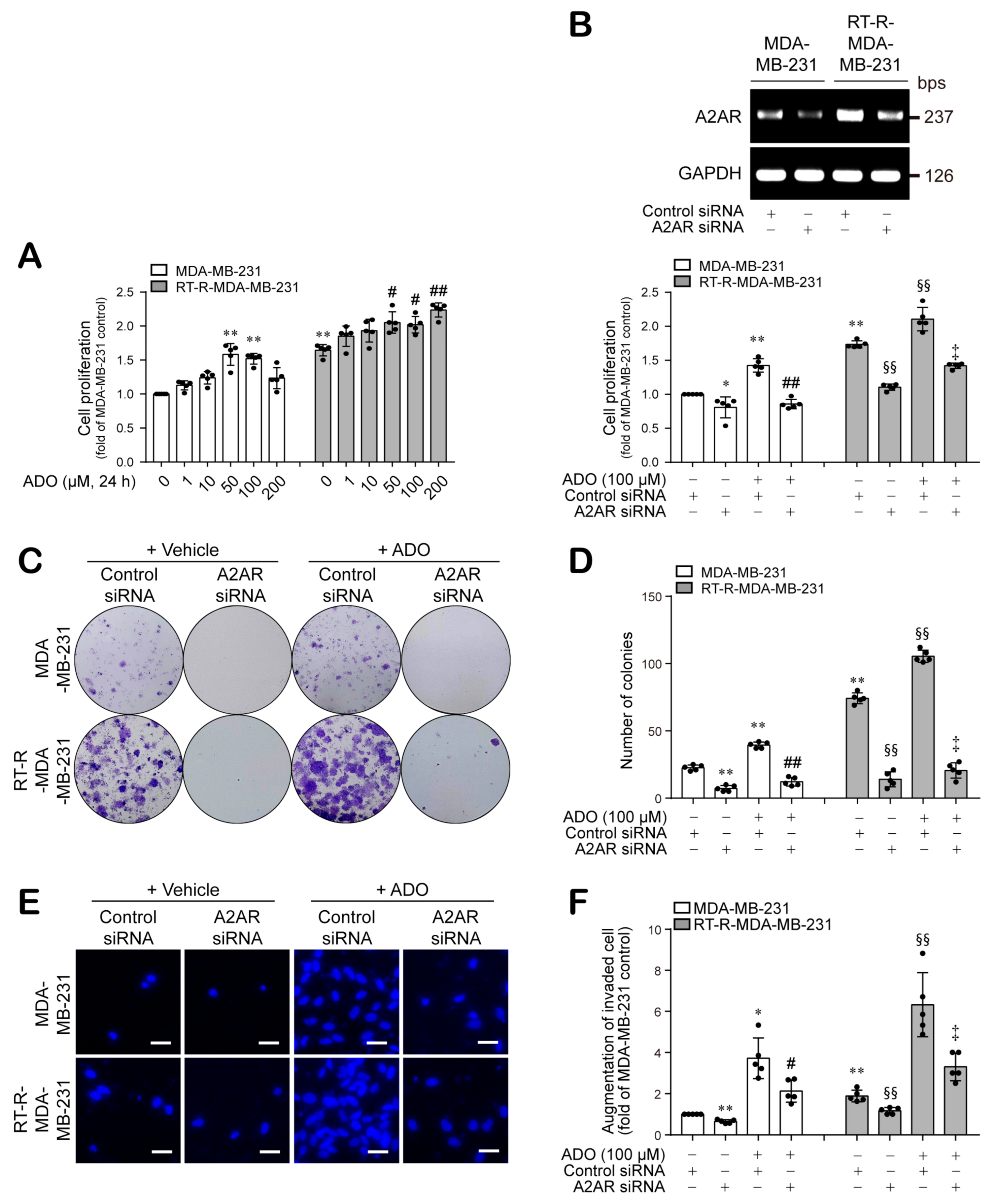 Cancers 13 02105 g004