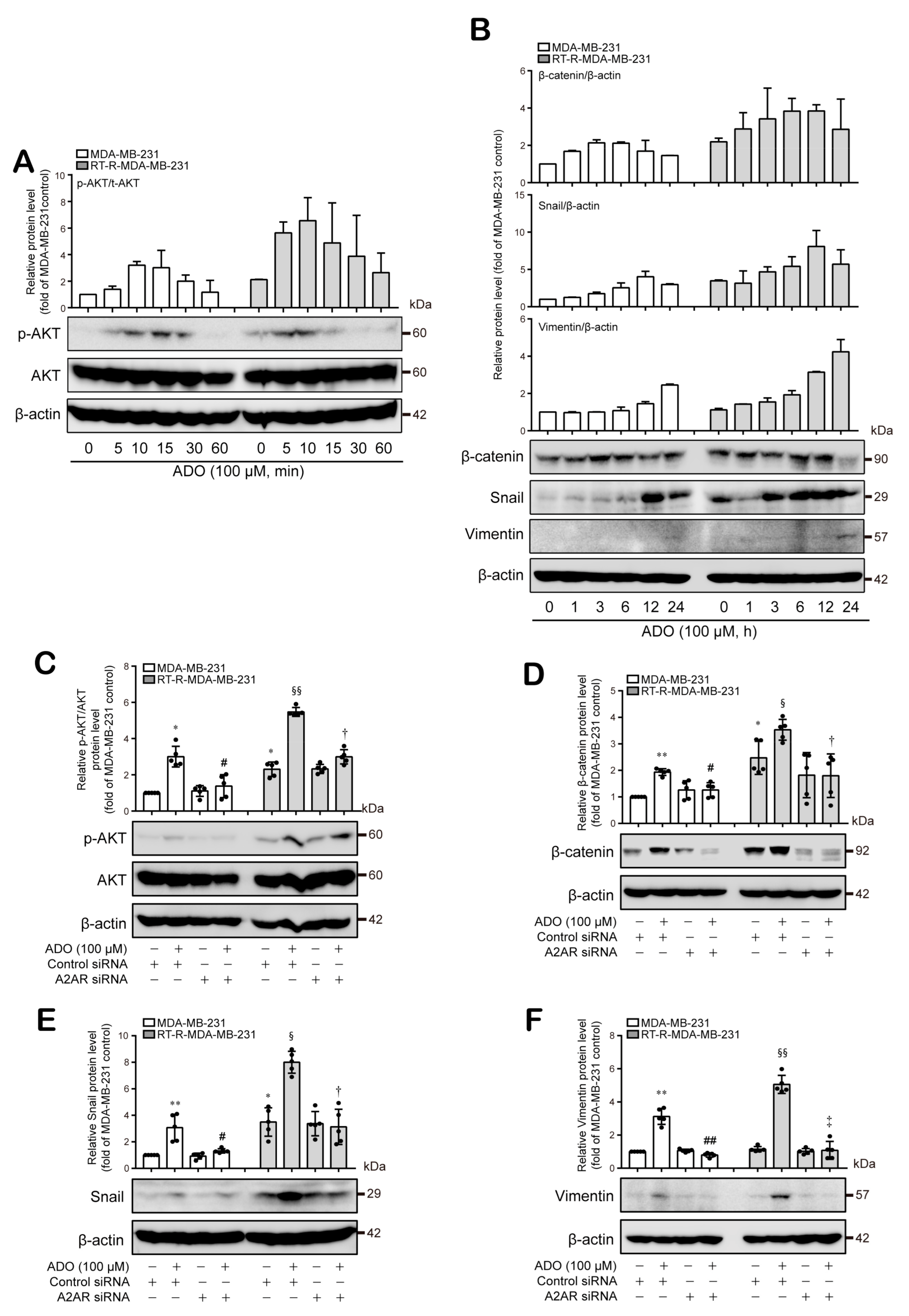 Cancers 13 02105 g005