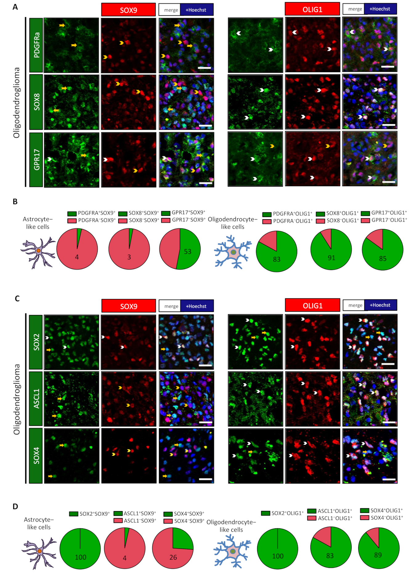 Cancers 13 02107 g002 Cancers 13 02107 g002