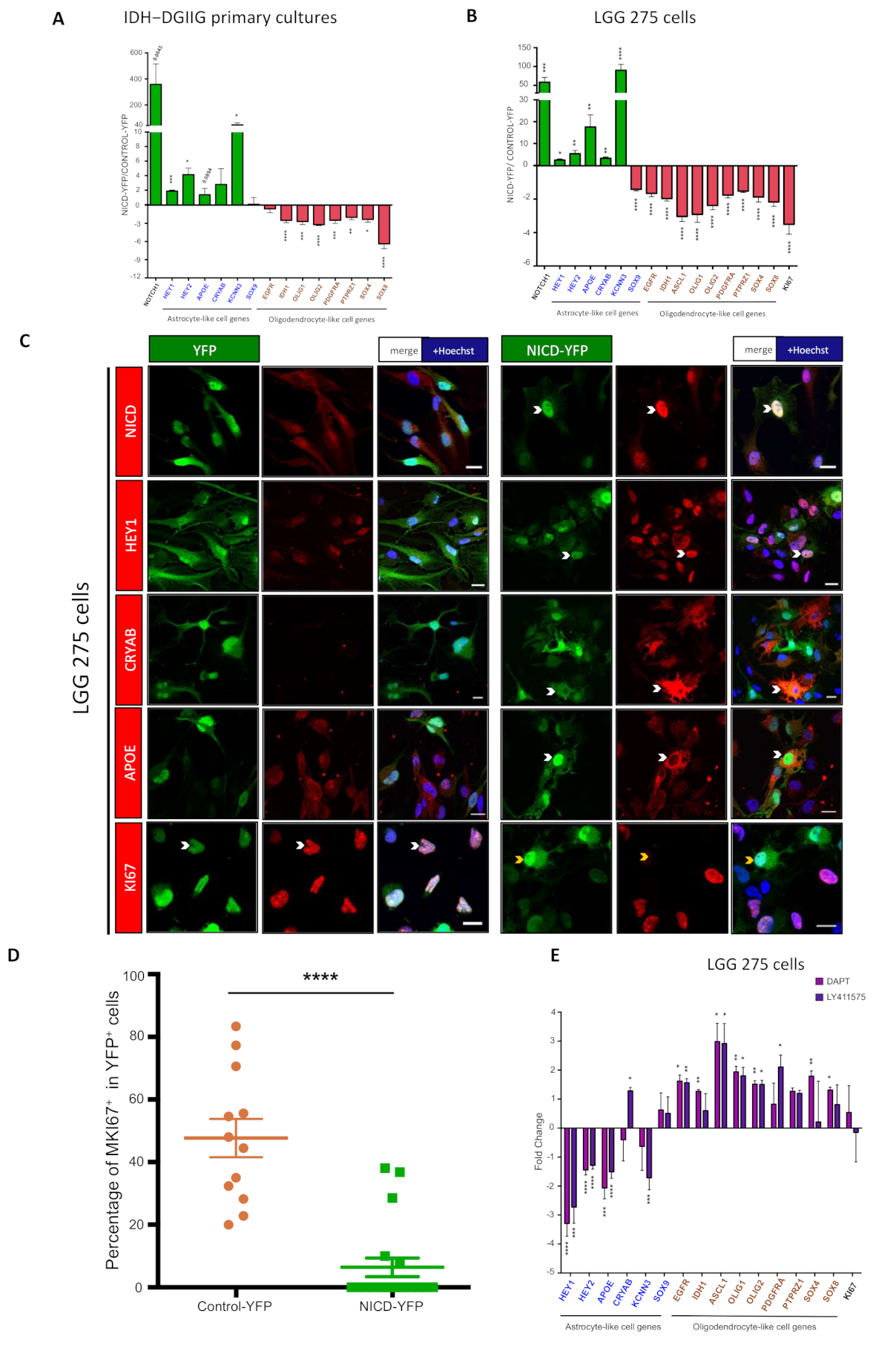 Cancers 13 02107 g005 Cancers 13 02107 g005
