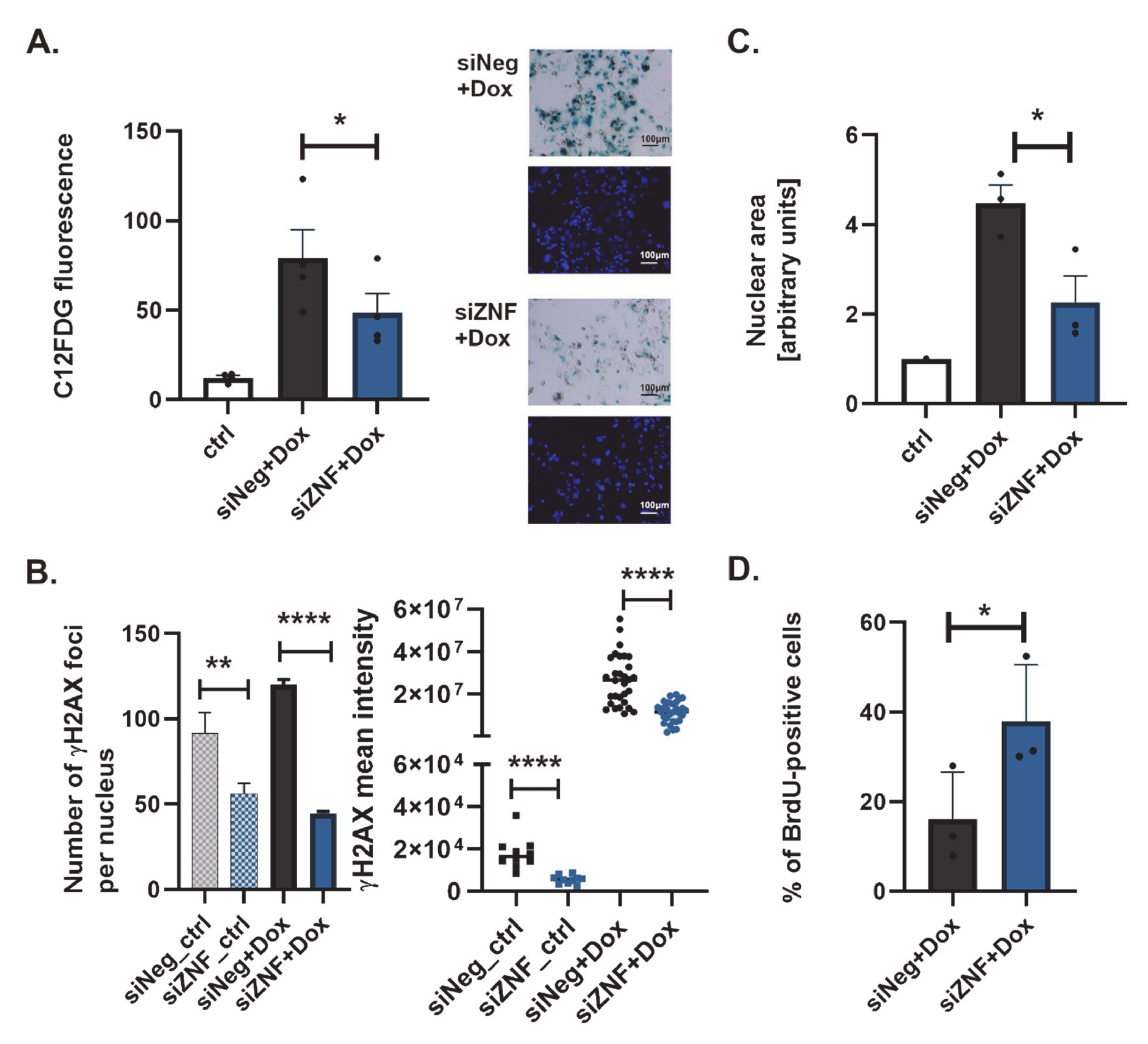 Cancers 13 02115 g002
