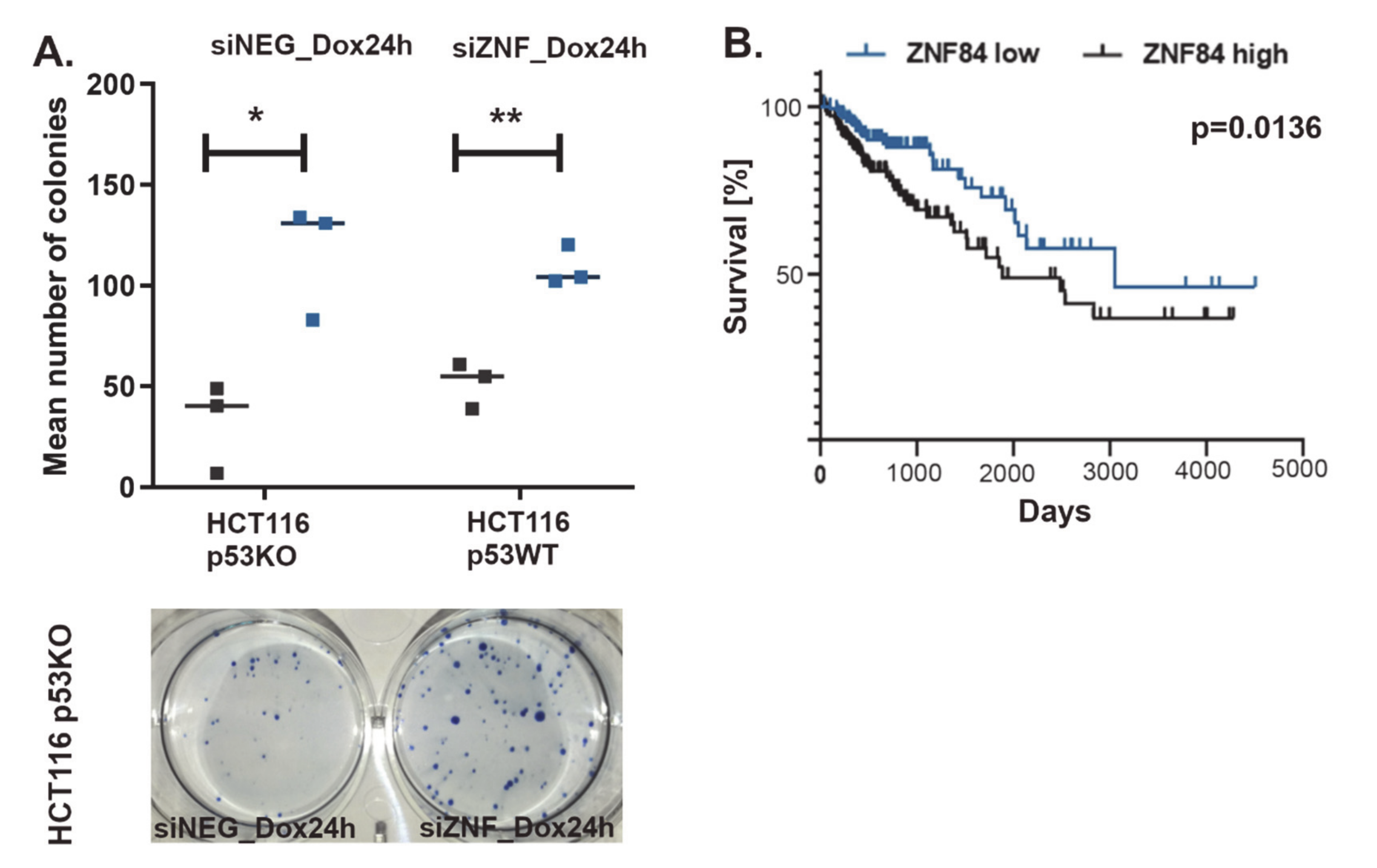 Cancers 13 02115 g005