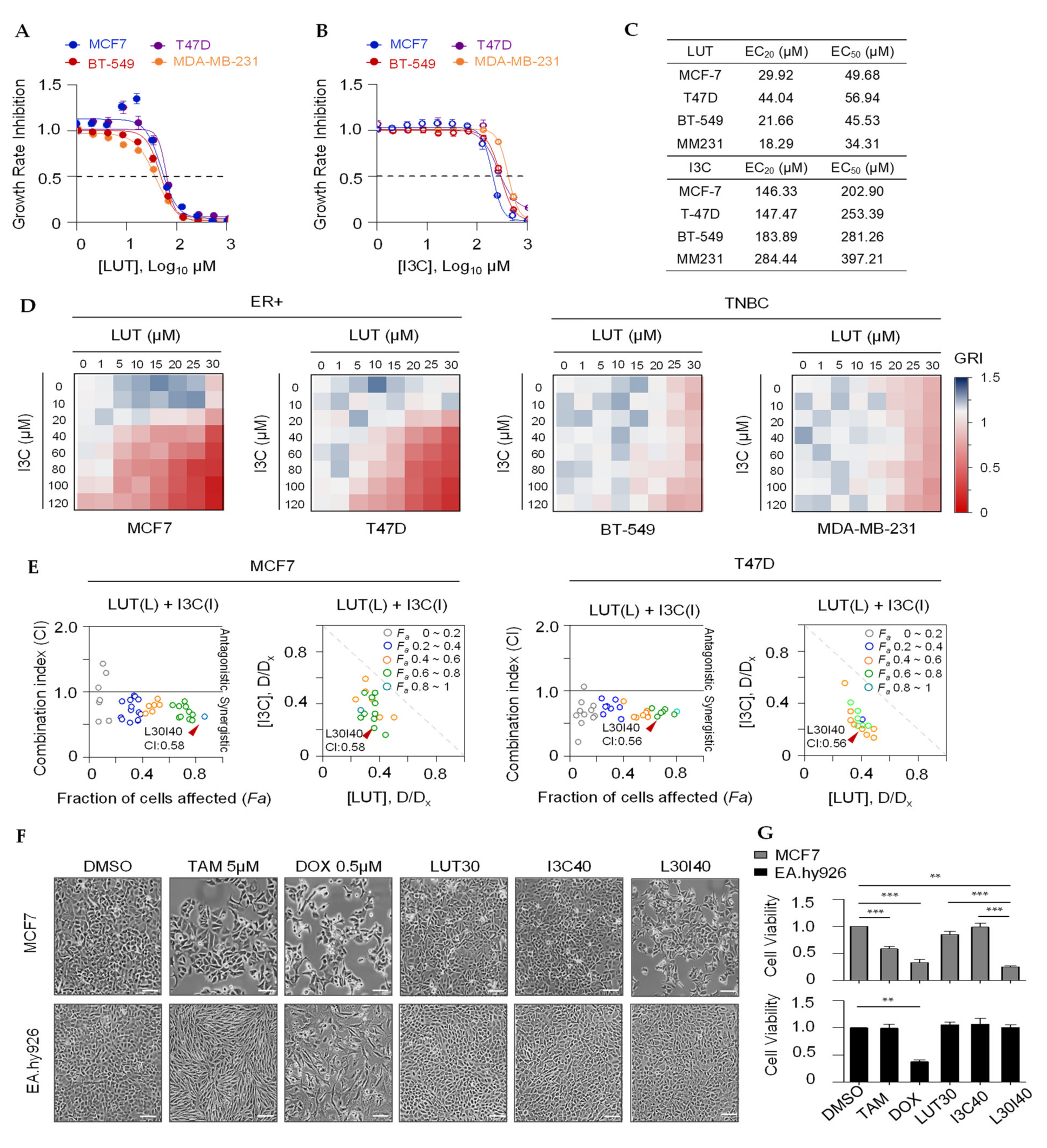 Cancers 13 02116 g001