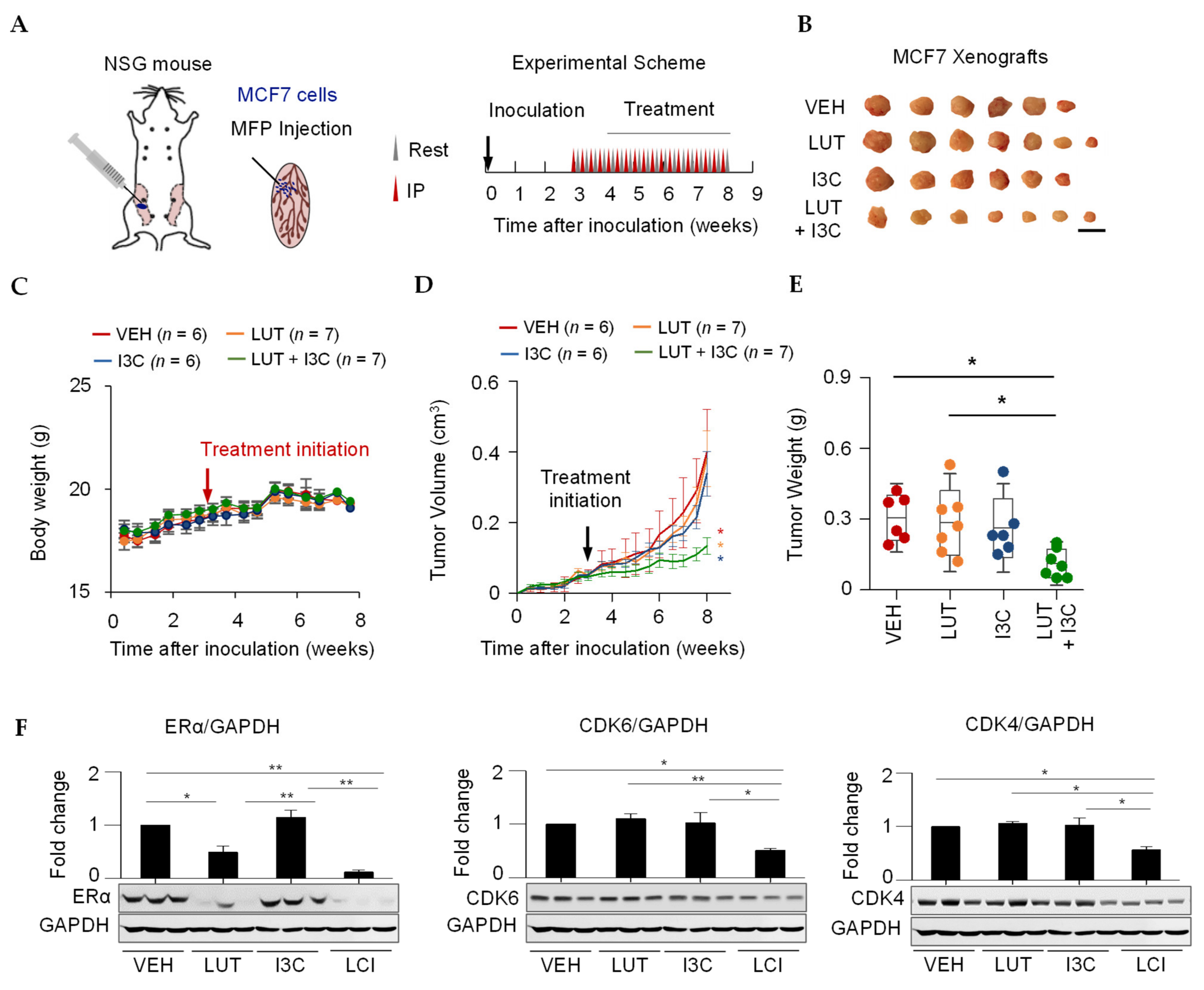 Cancers 13 02116 g004