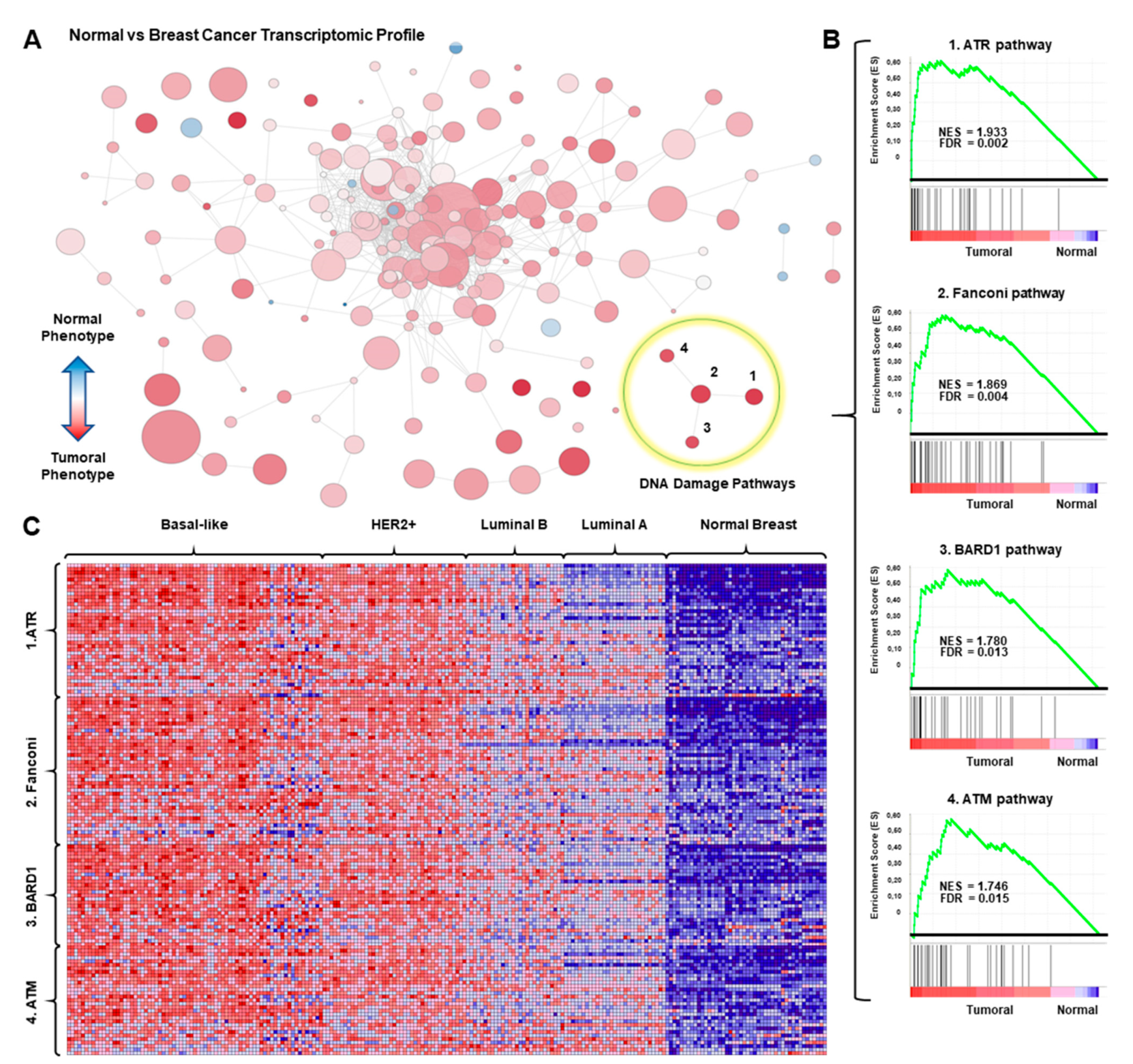 Cancers 13 02117 g001