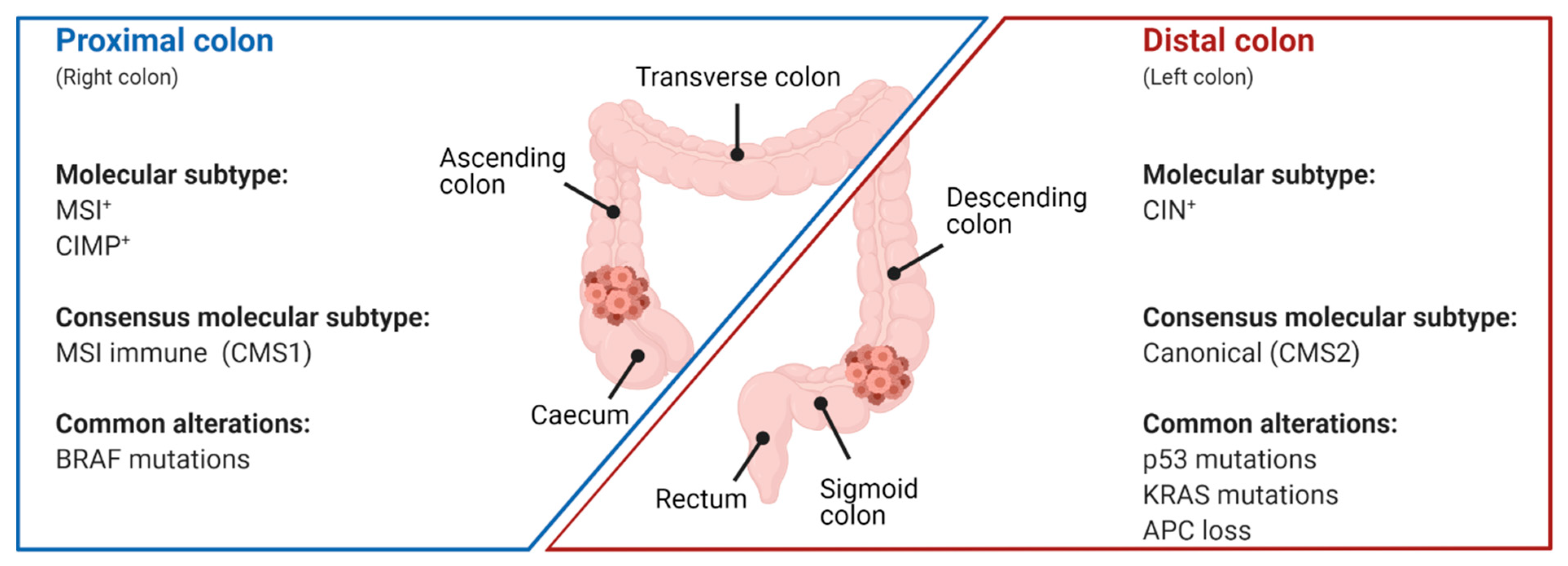 Cancers 13 02125 g003