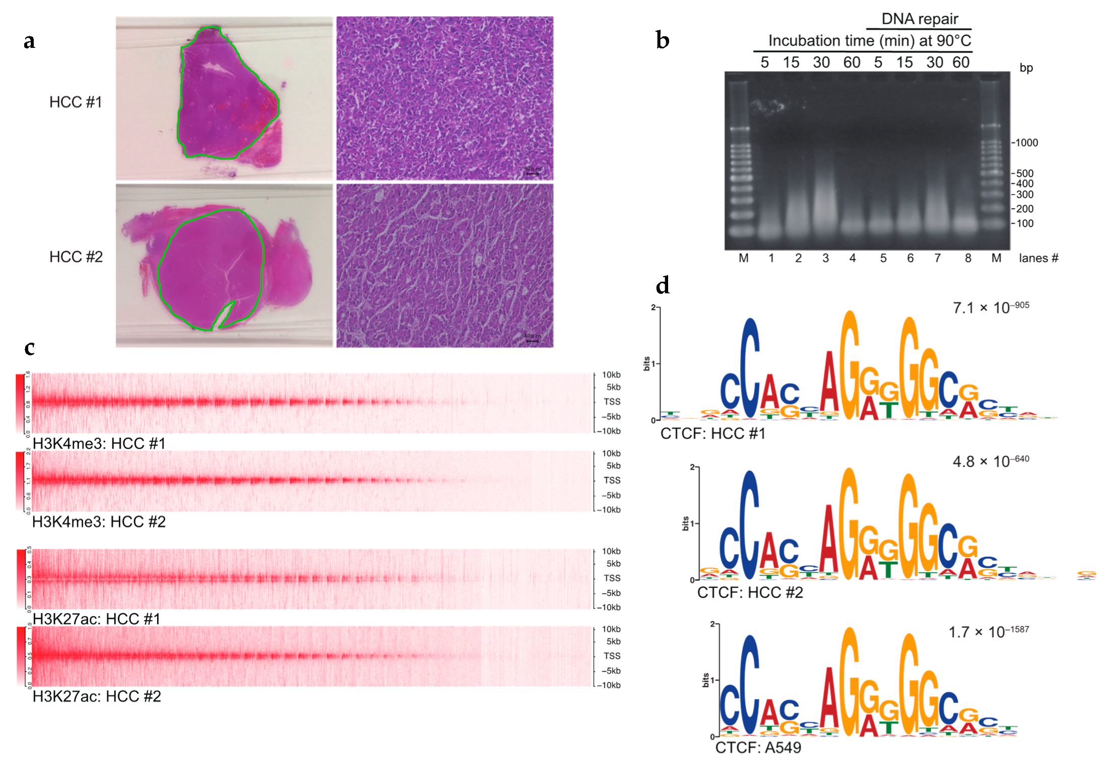 Cancers 13 02126 g001