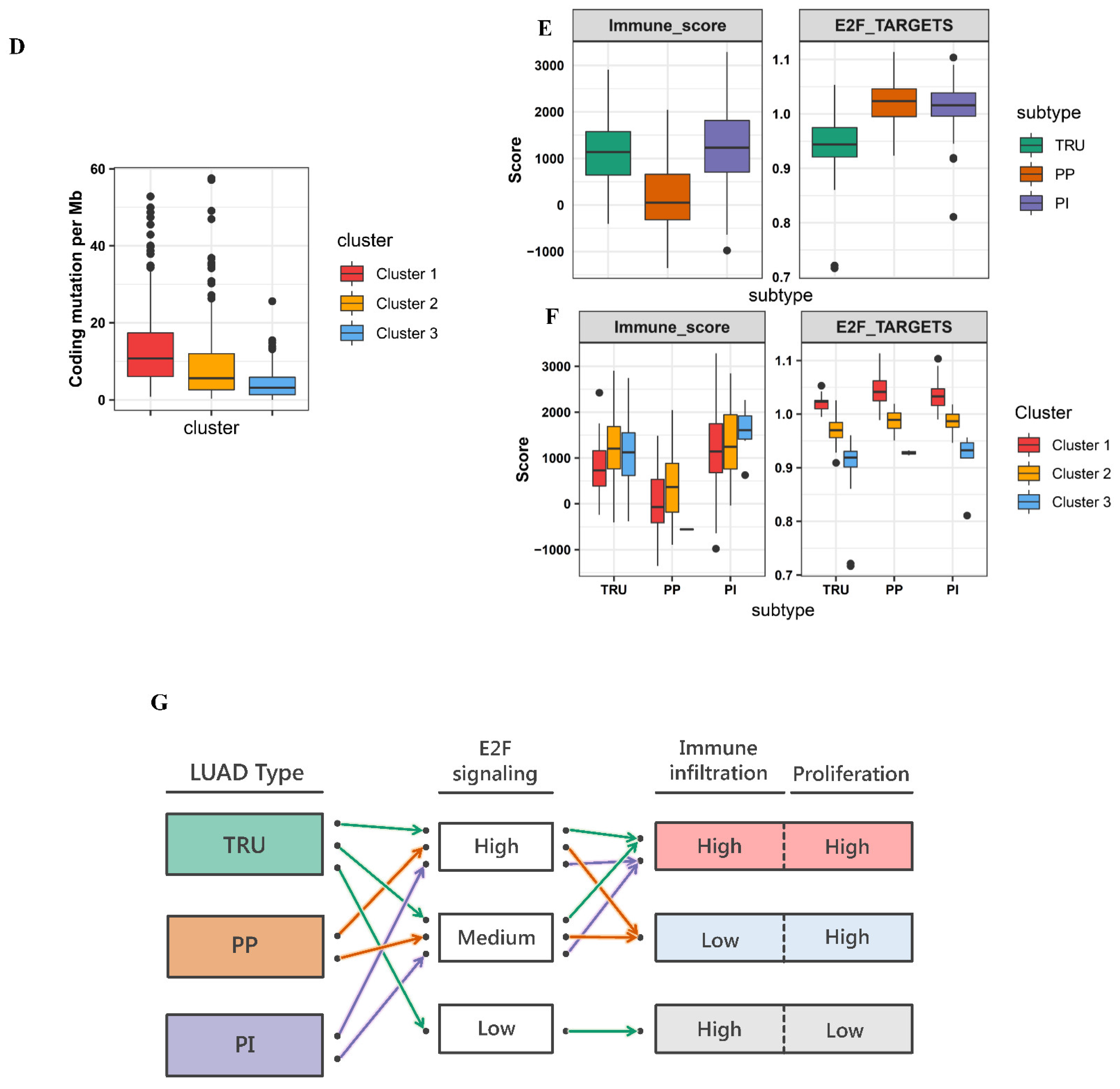 Cancers 13 02128 g005b