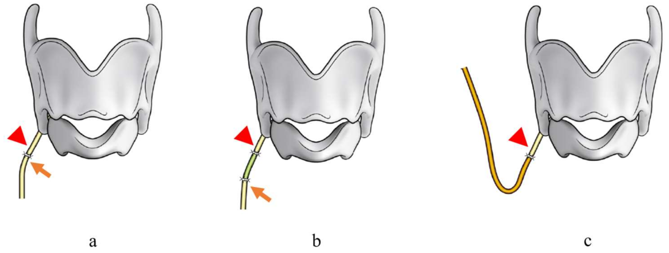 Cancers 13 02129 g002