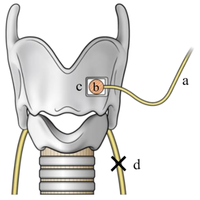 Cancers 13 02129 g003