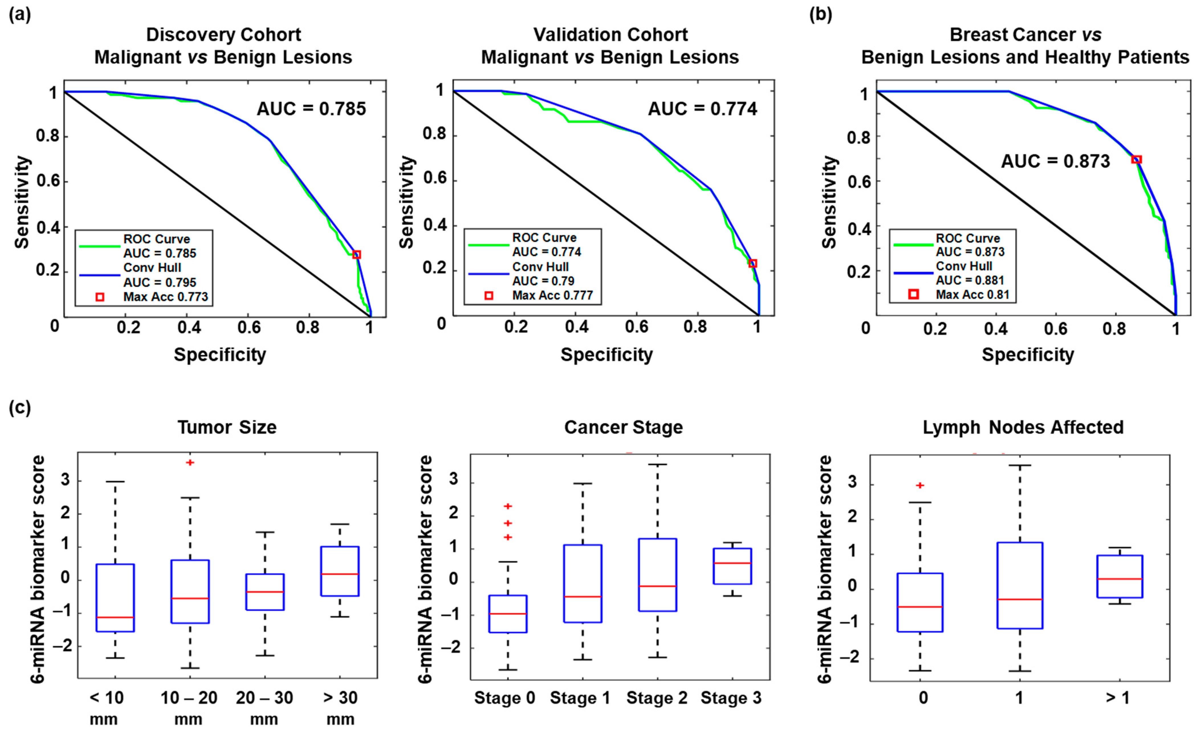 Cancers 13 02130 g003 Cancers 13 02130 g003