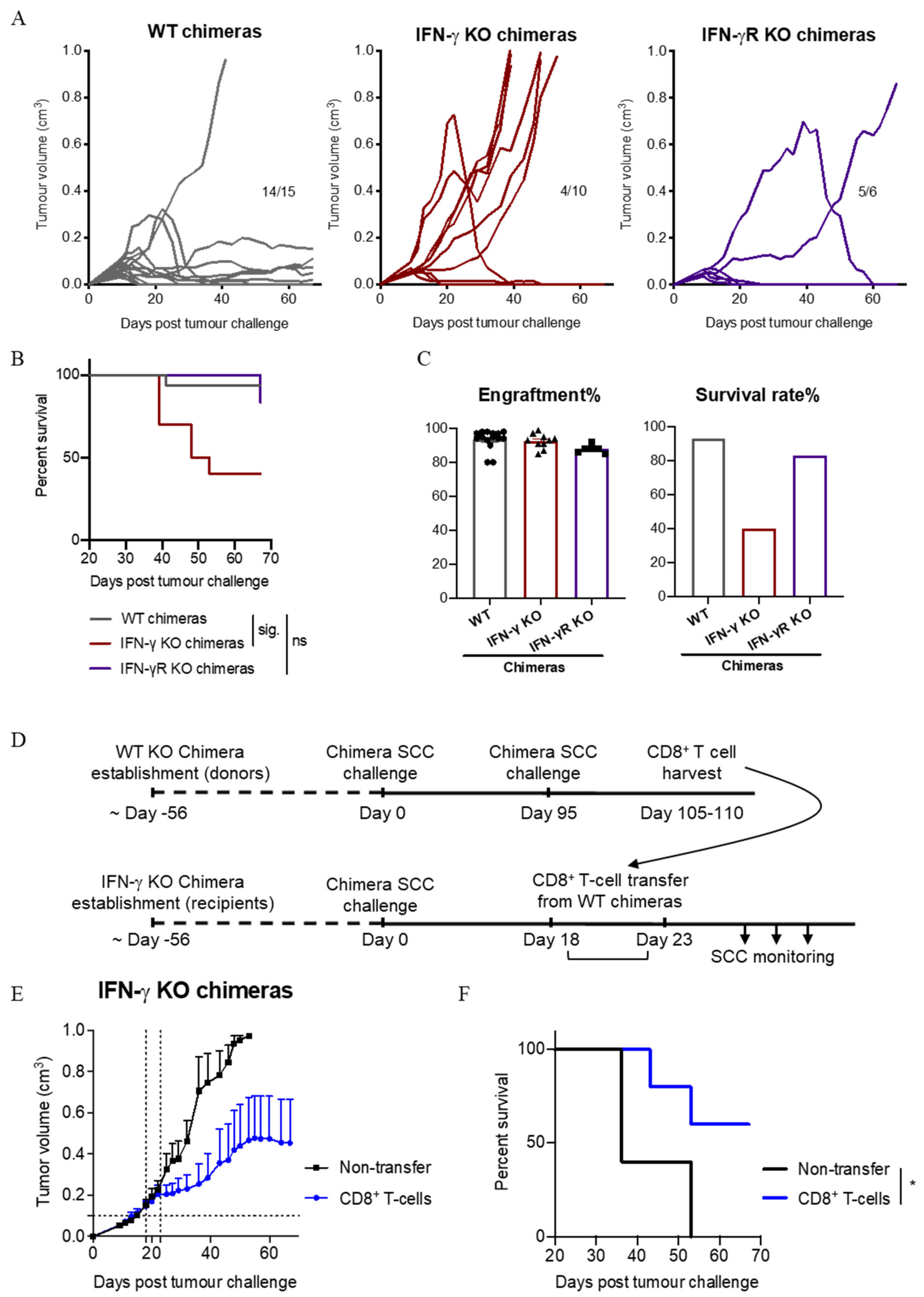 Cancers 13 02131 g008