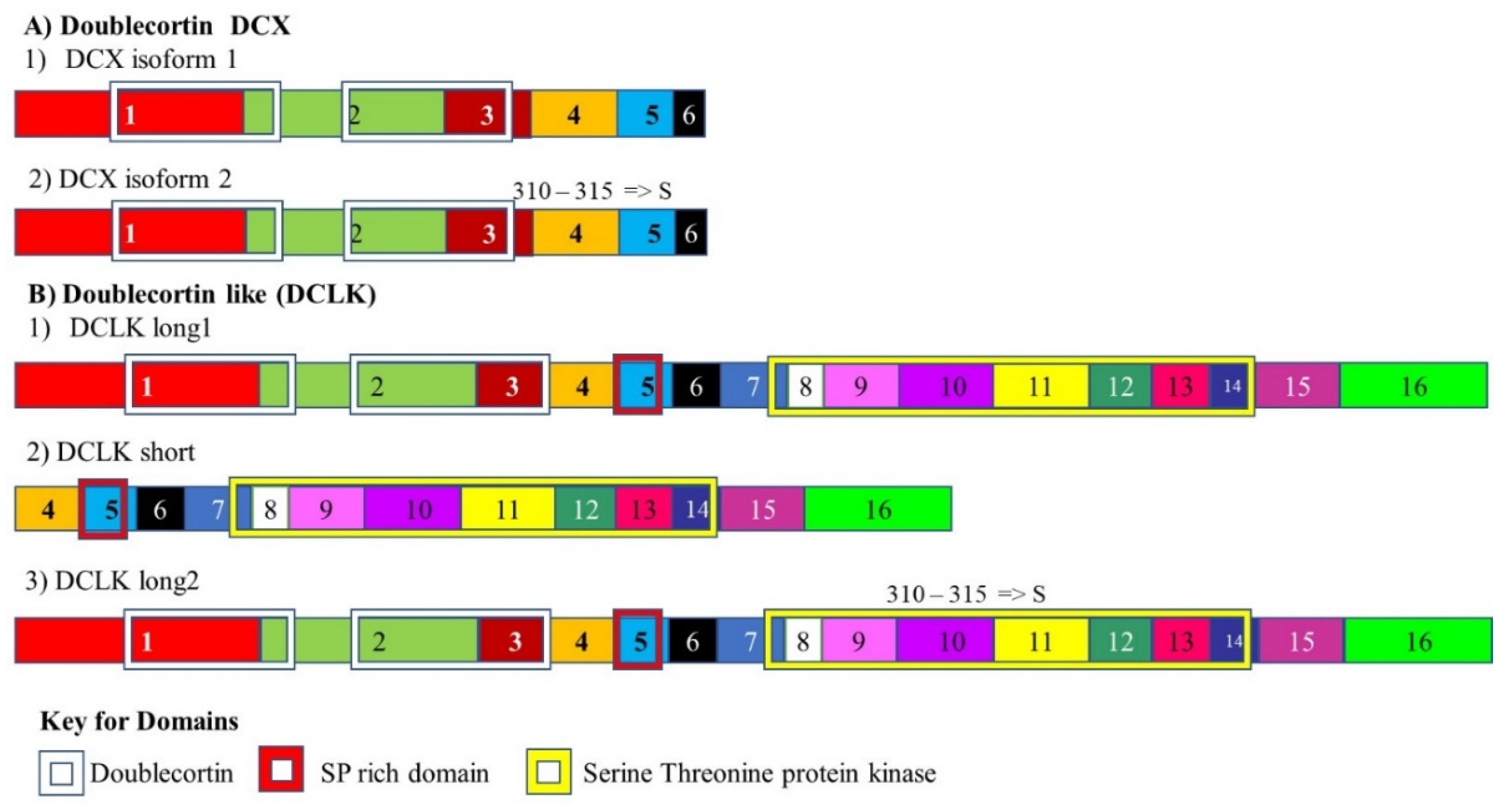 Cancers 13 02138 g003