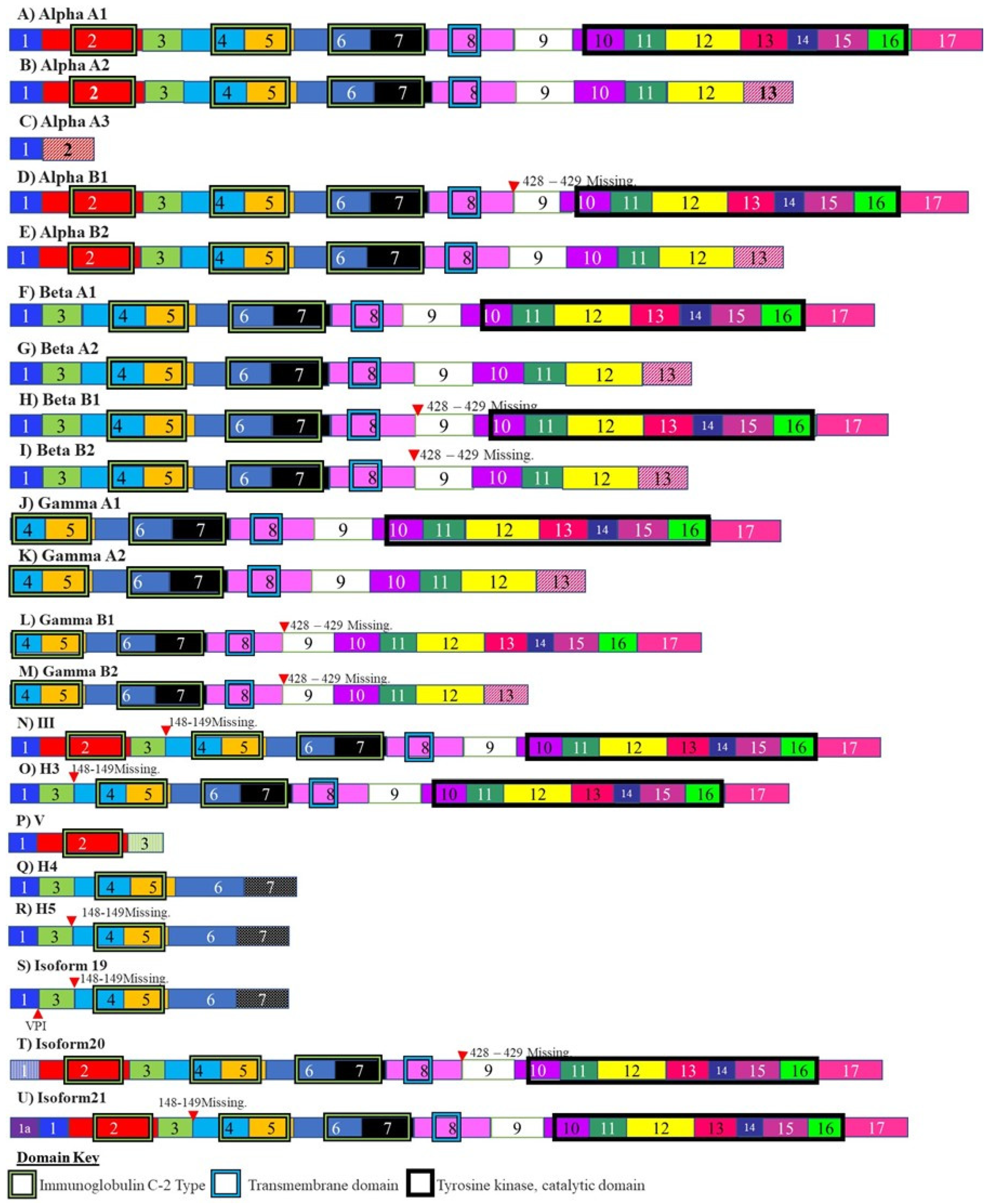 Cancers 13 02138 g004