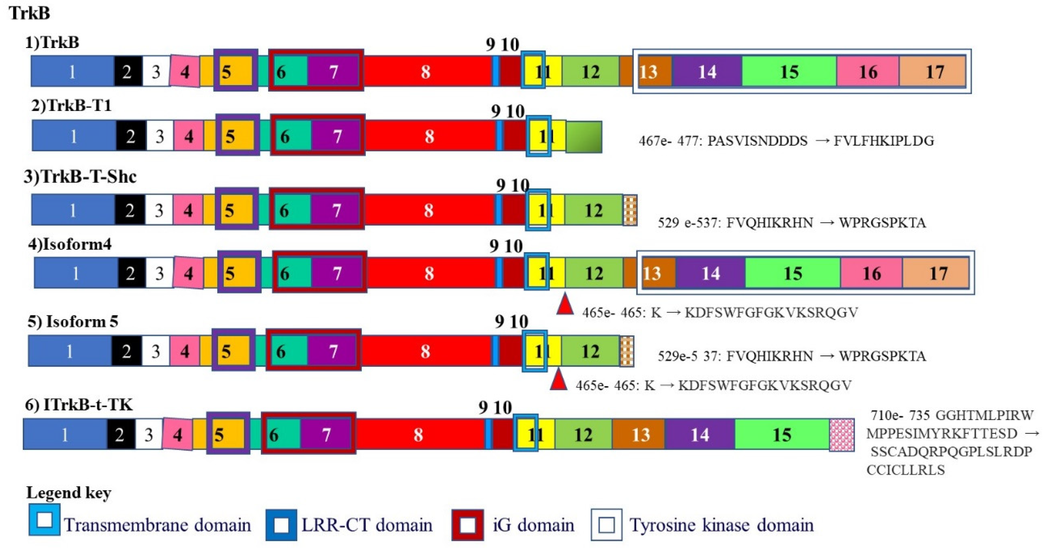 Cancers 13 02138 g006