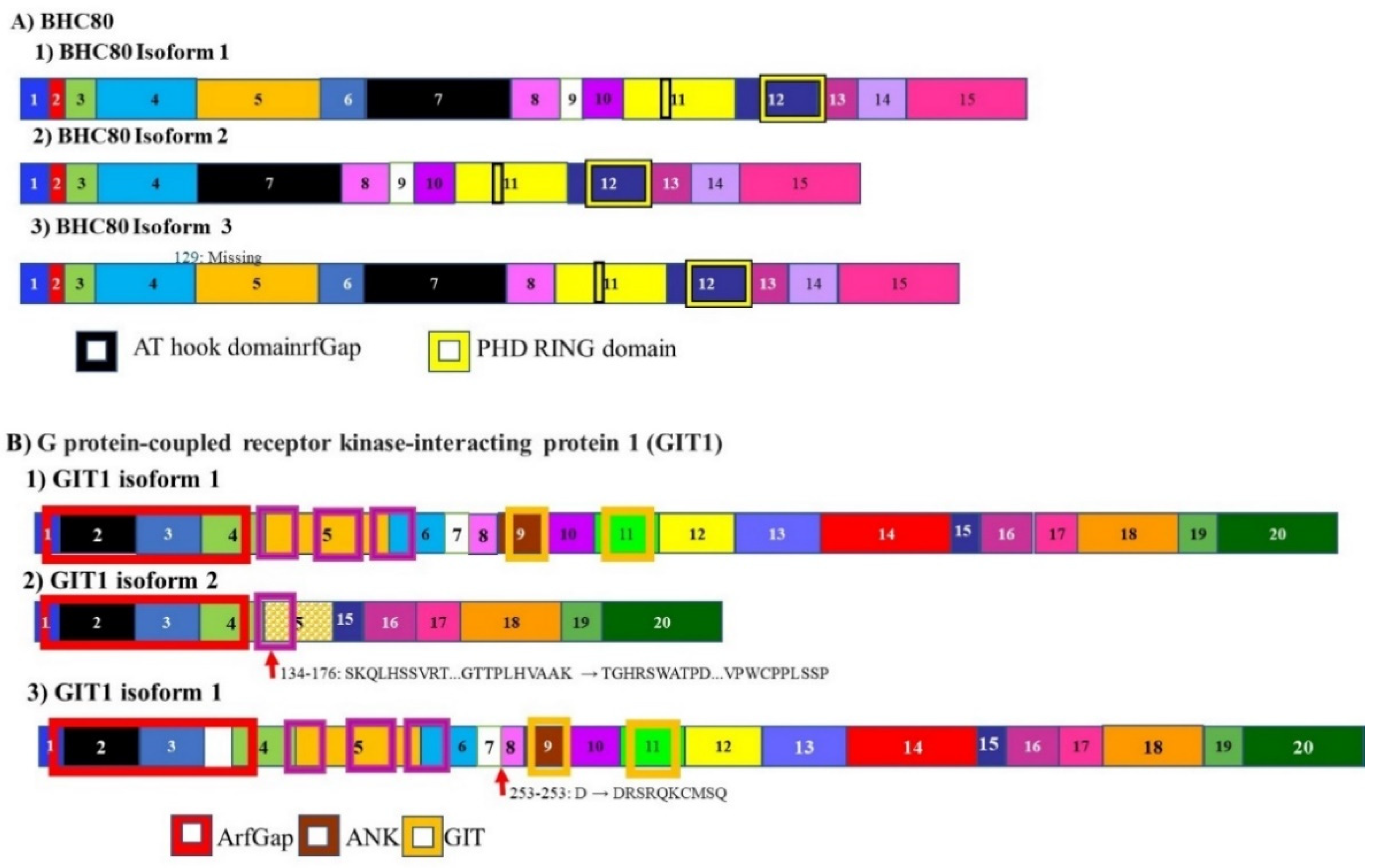 Cancers 13 02138 g008