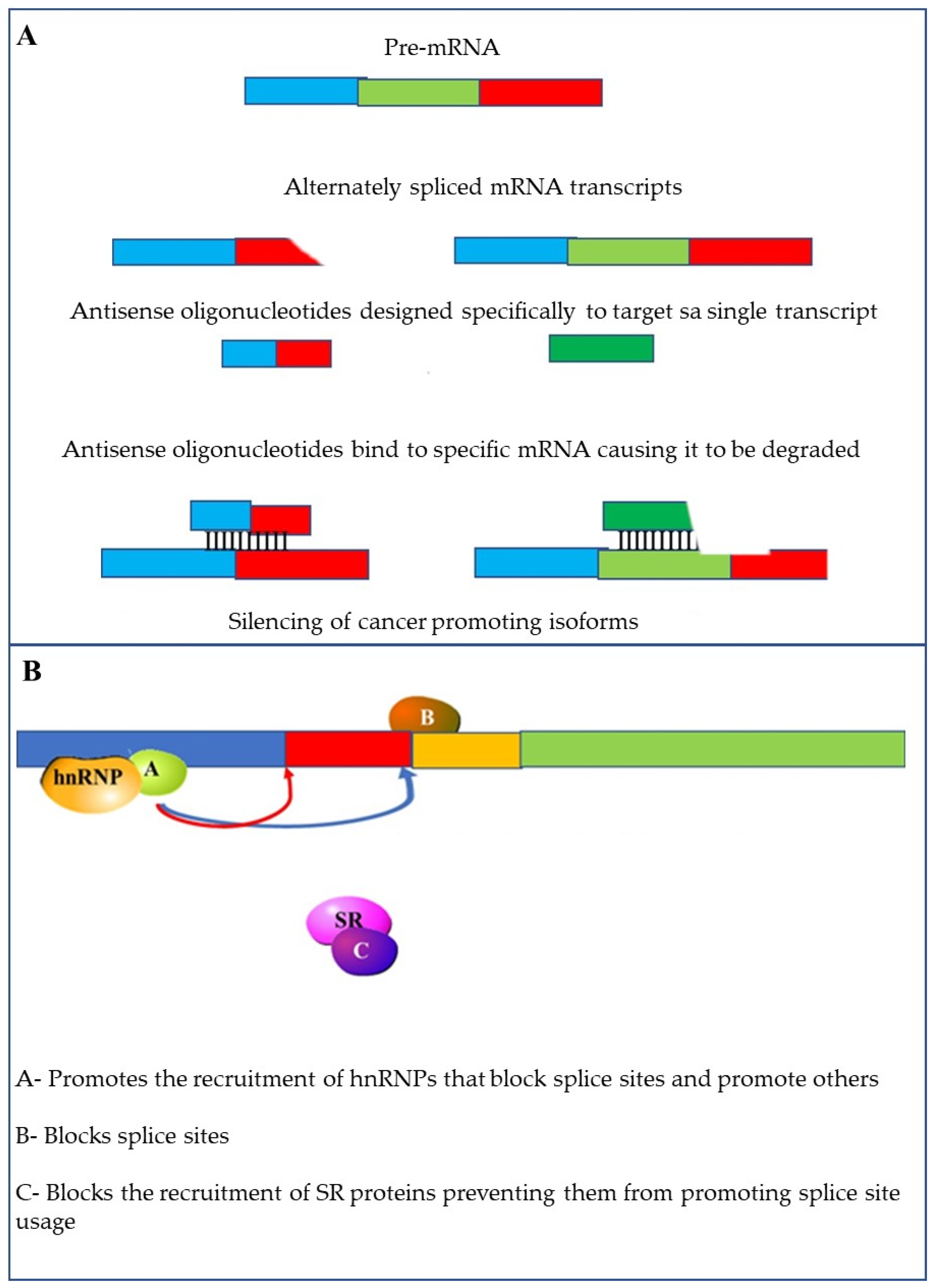 Cancers 13 02138 g010