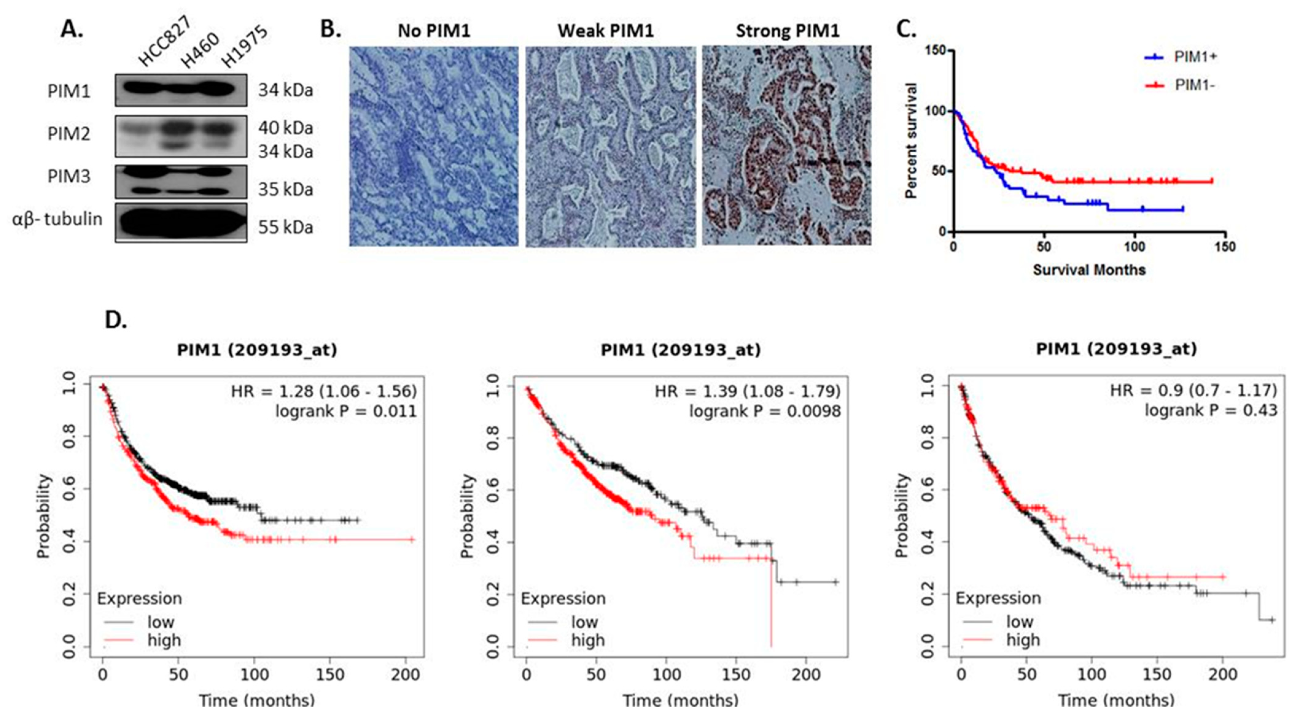 Cancers 13 02139 g001